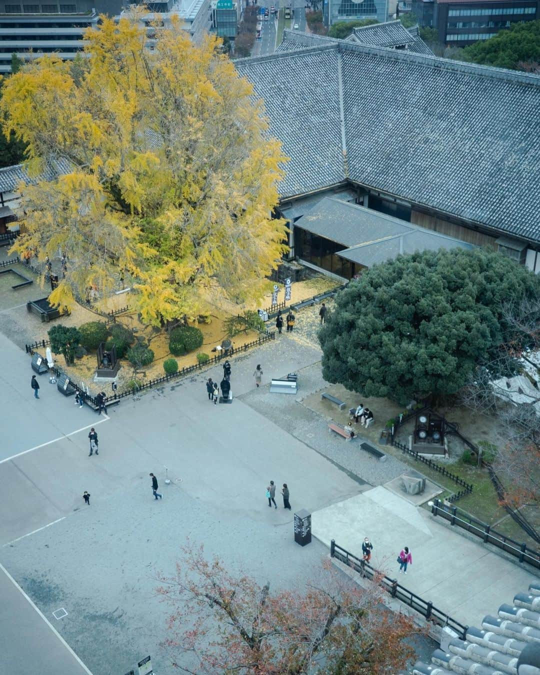 岩崎裕美さんのインスタグラム写真 - (岩崎裕美Instagram)「2022.12 熊本撮影旅🐻  撮影前日に熊本インして市内を散策の巻。  #熊本城 へ🏯 @kumamoto_castle   2016年の熊本地震で大きな被害を受けて以降、今もまだ復旧に向けて修復中の箇所が多々あって被害の大きさを感じました。  2年前に天守閣は完全復旧したので、天守閣からの眺め堪能してきました🧸  着実に完全復旧に向けて進んでる熊本城。 早く元の姿に戻りますように🤞  📷: @takemura_photo  ＿＿＿＿＿＿＿＿＿＿  #kumamoto #kumamotocastle #castle #japanesecastle #熊本 #熊本市 #熊本県 #熊本観光 #熊本旅行 #熊本城 #熊本城復興 #天守閣 #城巡り #城 #城壁 #建築 #建築物 #建物 #建物好き #建築デザイン #建築巡り」3月23日 7時54分 - hiromi_iwasaki