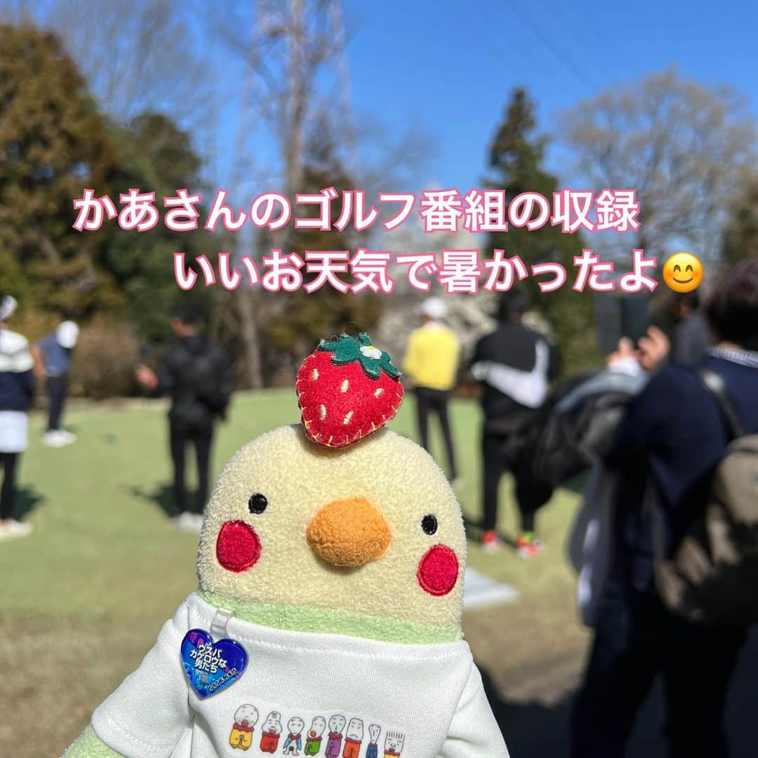 江口ともみのインスタグラム