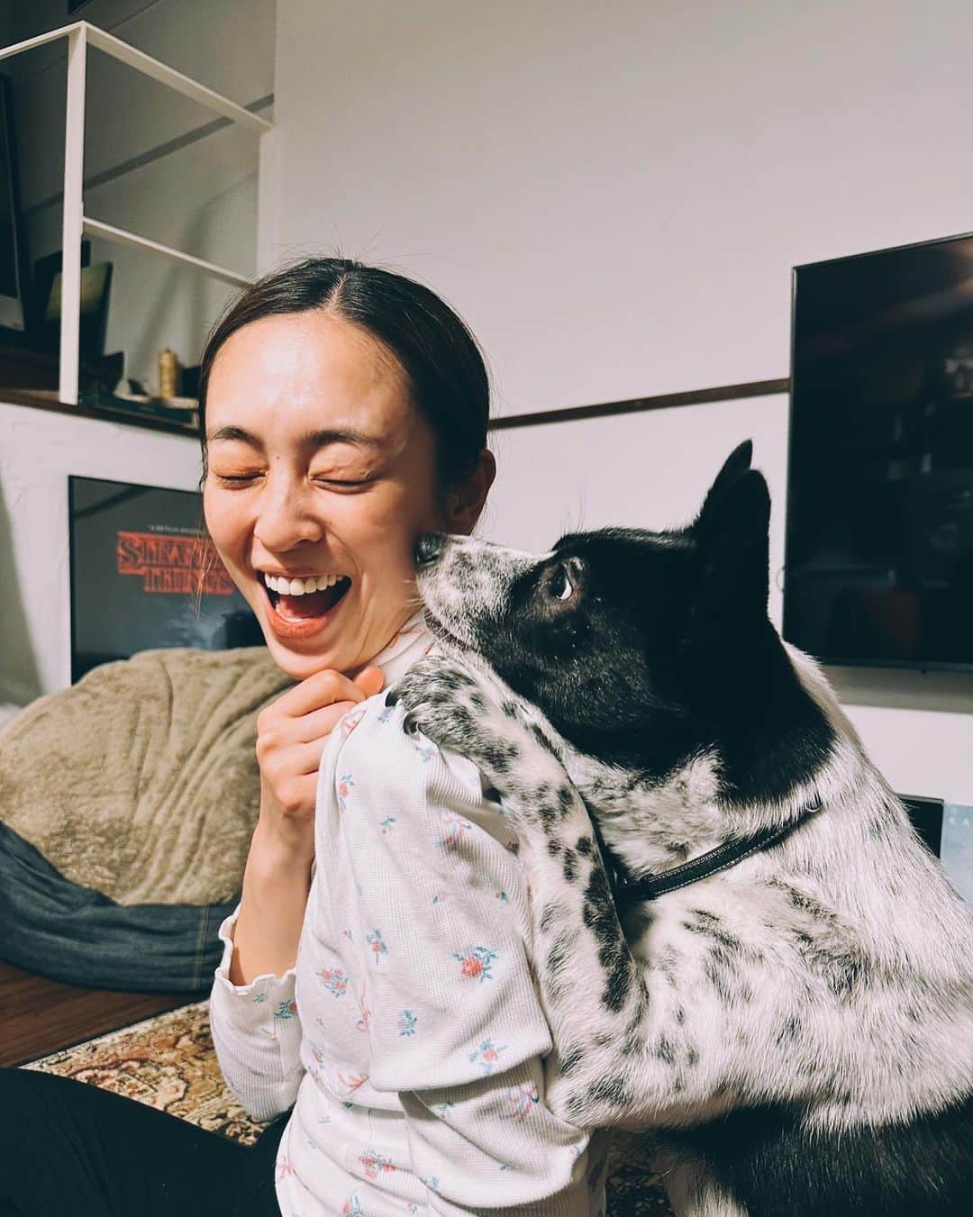 滝裕可里さんのインスタグラム写真 - (滝裕可里Instagram)「疲れがふっとぶ瞬間🤣❤️‍🔥  #おパフェ日記 #元野犬 #香川 #保護犬 #犬のいる暮らし」3月22日 23時26分 - takiyukari_official
