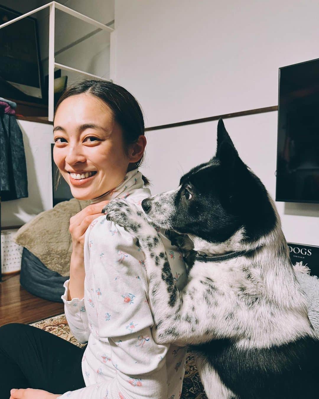 滝裕可里さんのインスタグラム写真 - (滝裕可里Instagram)「疲れがふっとぶ瞬間🤣❤️‍🔥  #おパフェ日記 #元野犬 #香川 #保護犬 #犬のいる暮らし」3月22日 23時26分 - takiyukari_official
