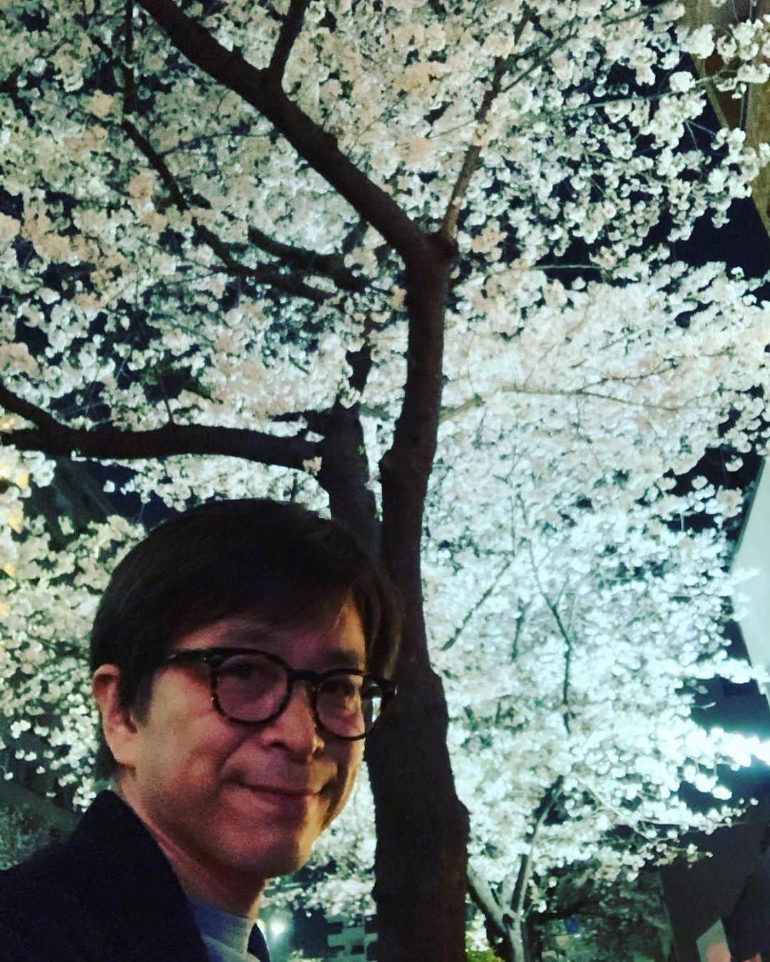 武田真一さんのインスタグラム写真 - (武田真一Instagram)「新しい季節を迎え、人生の転機を迎えるたびに、この街路の桜に勇気づけられて来ました。顔を上げてどこまでも歩いていきたい気分にさせてくれます。ありがとう！ 春をもたらす自然の力に感謝と不思議を感じます。」3月22日 23時29分 - raspberrydrops