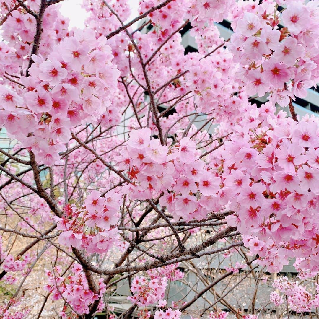 川奈栞 