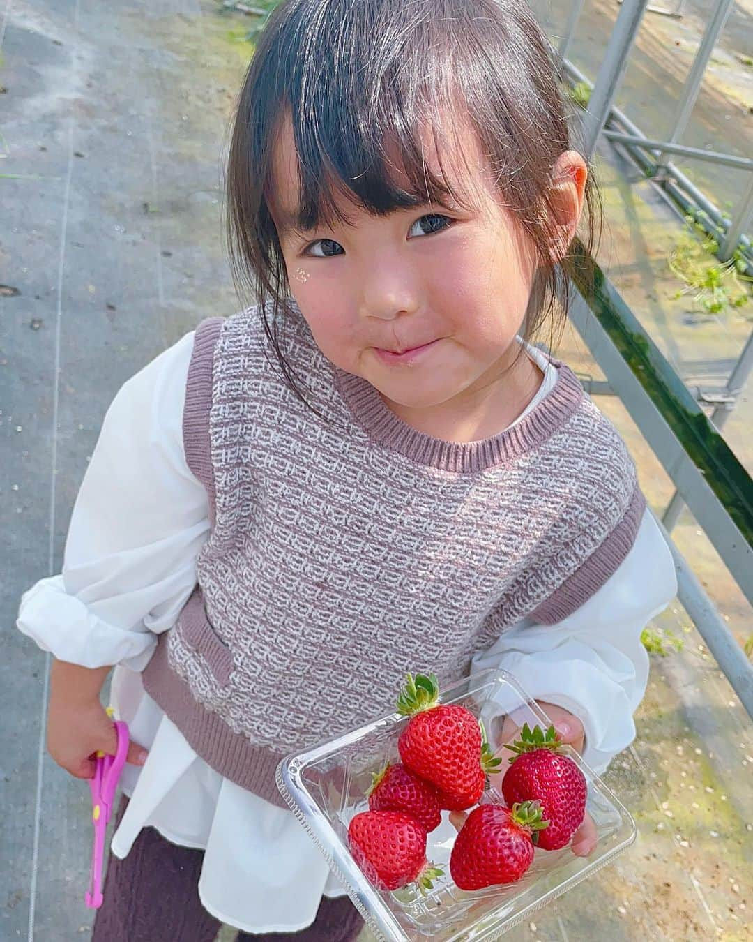 erikaさんのインスタグラム写真 - (erikaInstagram)「いちご狩り🍓 毎年どこかしらのいちご狩りに行ってる✨ 今年は稲鍵ファーム（有馬富士）に行きました🥰  スタッフの人もめちゃくちゃ親切な方やったよー！ あと いちご狩りって いちごがぬるくない？冷えてたらもっと美味しいだろうなぁって感じたことありません？ ここは冷水で浸して食べスタイルで、大満足やった💯💮 またお世話になりに行きます😊  そしていちごをこれでもか！ってくらい食べたのにちゃっかりお腹に入る牛すじカレー😂😂😂  #稲鍵ファーム #牛すじカレー#イチゴ狩り #子供のいる暮らし #なにげない日常 #3歳女の子 #petitmain #親子コーデ #おそろコーデ」3月22日 23時46分 - ch1na.er1ka