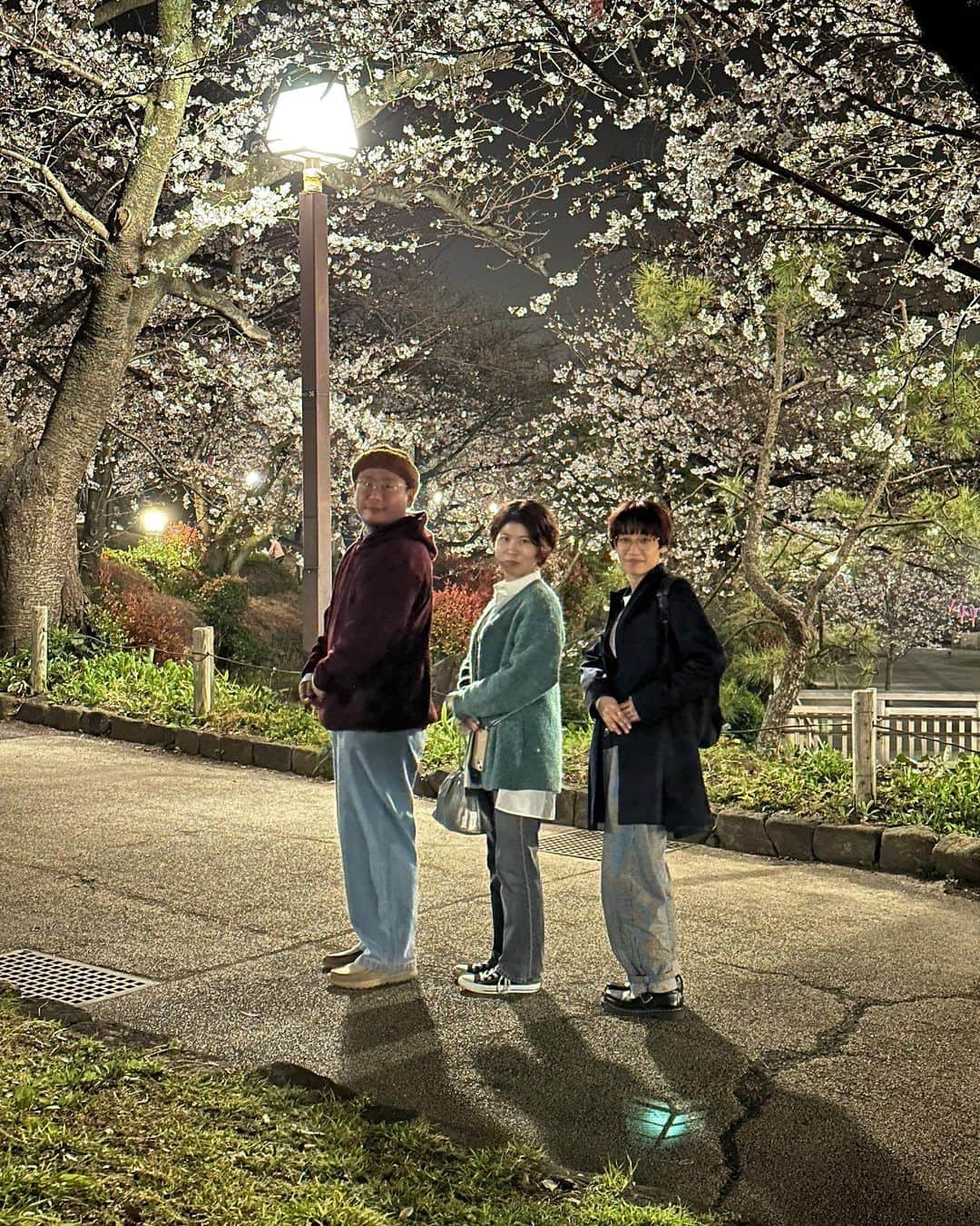 ウラシマンタロウさんのインスタグラム写真 - (ウラシマンタロウInstagram)「昨日と今日 #花見」3月23日 0時07分 - urashima_da