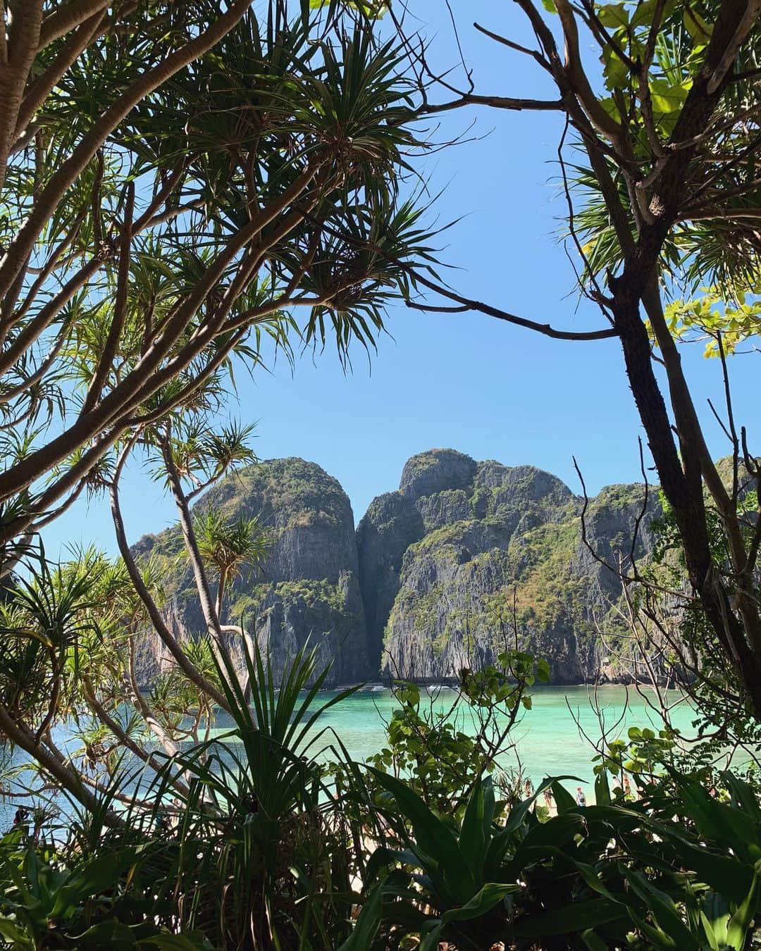 クララ・スピルコバさんのインスタグラム写真 - (クララ・スピルコバInstagram)「Phi Phi Islands 🇹🇭🏖️💙 • • • #thailand #phiphi #bambooisland #mayabay #magicalplace #recovery #holidays」3月23日 2時02分 - spilkovaklara