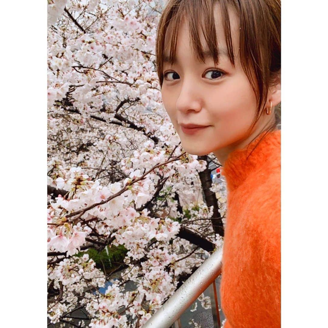 真下玲奈さんのインスタグラム写真 - (真下玲奈Instagram)「知らないうちに 桜が満開になってました🌸 いいよね。心が華やぐよね〜  アクティングレッスンで コーチにお芝居が馴染んできたね。 って言われて、自分でも実感があったからとっても自信になった。  あとは、1人の時間をどう有意義に使うかだなって思う。  心にパンツ履かないでいたい。 もっと自由に。  会いたい人たちに自分で会いに行く。  #桜が咲いてるね #桜が好き  #小雨だけど気にしない  #桜満開🌸  #レッスン帰り #お気に入りのイヤリング #真下玲奈」3月23日 16時50分 - r.mashitaaa.221