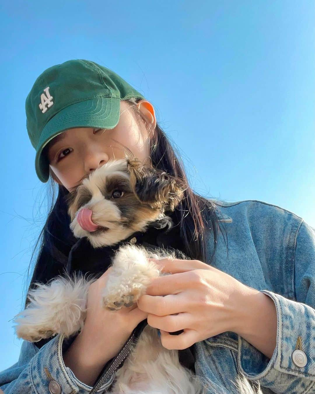 チェ・ダビンのインスタグラム：「🐶𝒅𝒂𝒚」