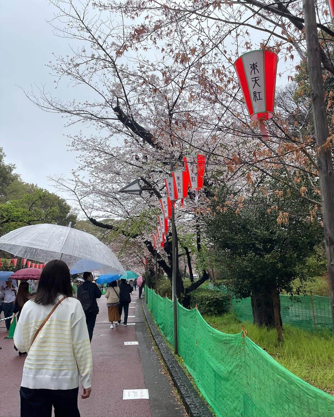 アグネス・チャンさんのインスタグラム写真 - (アグネス・チャンInstagram)「Went to see the cherry blossoms at Ueno park in the rain. We found a lot of people, and the blossoms were very very beautiful. I have never see the cherry blossoms at Ueno, it’s a dream come true. So grateful!」3月23日 17時09分 - agneschan1