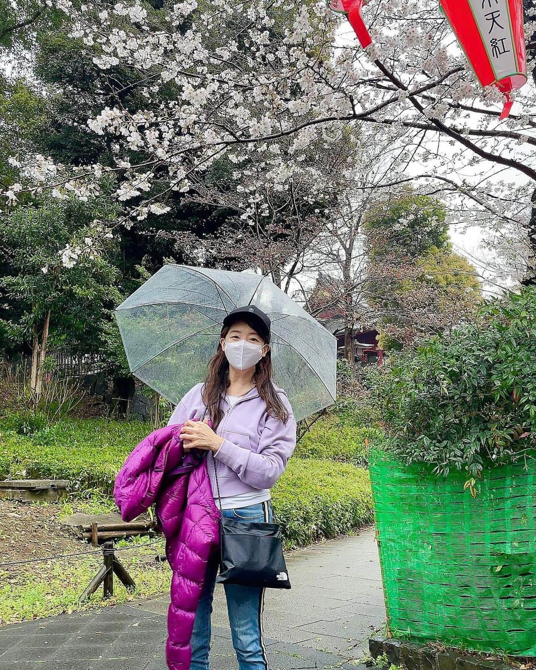 アグネス・チャンのインスタグラム：「Went to see the cherry blossoms at Ueno park in the rain. We found a lot of people, and the blossoms were very very beautiful. I have never see the cherry blossoms at Ueno, it’s a dream come true. So grateful!」