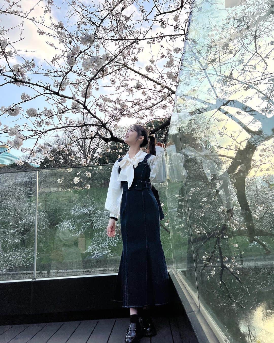 林芽亜里さんのインスタグラム写真 - (林芽亜里Instagram)「🎀 ⁡ この間、日本武道館の近くに行ってきました🤭 千鳥ケ淵という所はたくさんの方で賑わってました🌸 ⁡ ⁡ 皆さんの住んでいるところは桜、 咲いていますか？満開ですか？⸜(*ˊᵕˋ* )⸝‬ ⁡ ⁡ ⁡ #林芽亜里 #桜 #snidel #Raycassin #archives」3月23日 17時13分 - meari__hayashi