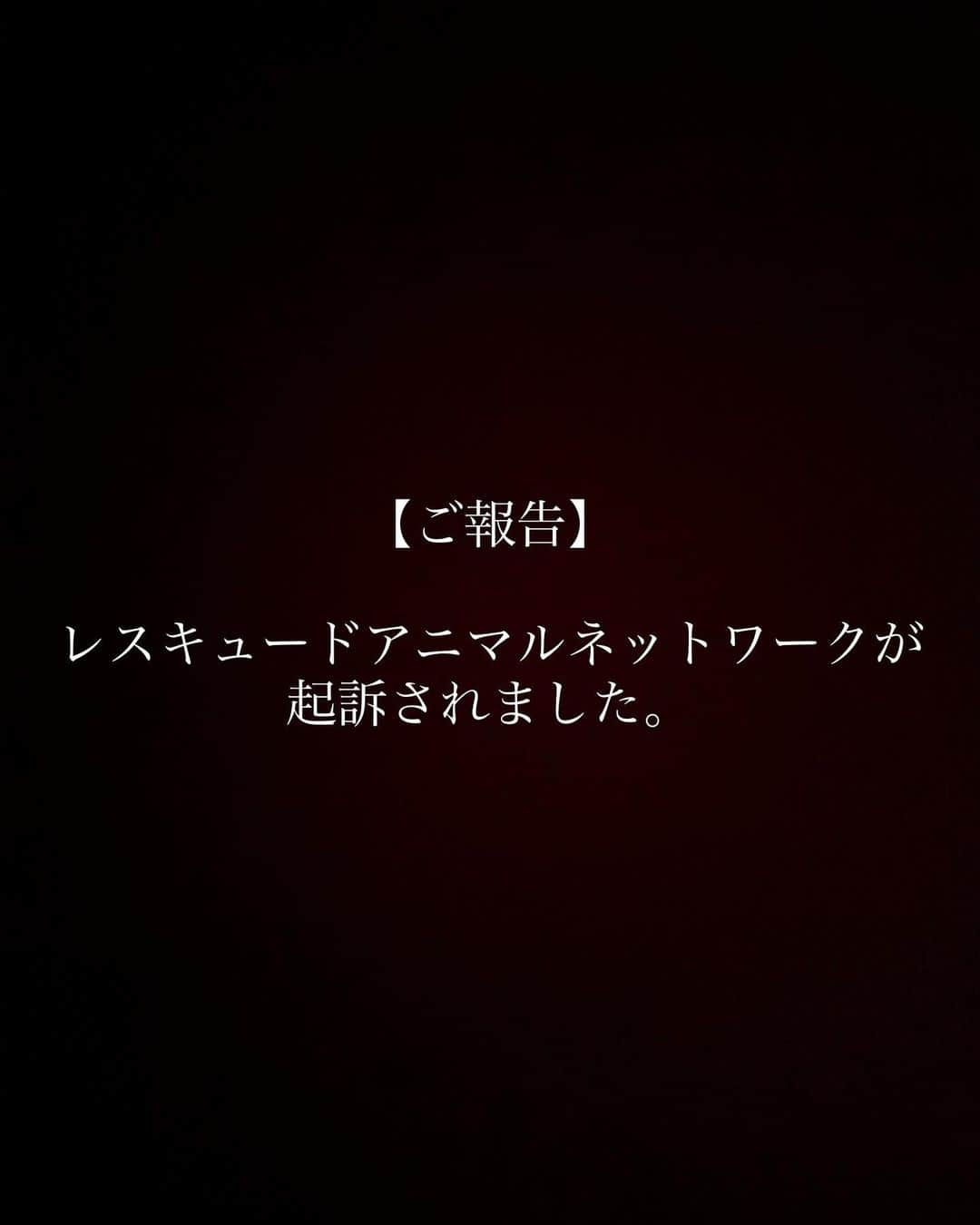 安藤志穂美さんのインスタグラム写真 - (安藤志穂美Instagram)「【起訴処分のご報告】⠀  #拡散希望 ⠀ 動物虐待容疑で刑事告発をしておりました、 神奈川県の第二種動物取扱業の団体レスキュードアニマルネットワークについて ⠀ 先ほど横浜地検、検察官より連絡があり、本日、【起訴処分（公判請求）】 されましたのでご報告いたします。 ⠀ 詳細をお伝えしたいところではありますが、詳細につきましては現時点では検察との事情でお伝えできない部分がございますので、 詳しい話を弁護士を通して聞いております為、詳細については追って発表します。 取り急ぎのご報告までとさせていただきます。  告発人 @shiomi_ando   #神奈川県 #レスキュードアニマルネットワーク #起訴 #動物虐待 #不起訴から起訴へ #公判請求 #神奈川県動物愛護センター #神奈川県警 #環境省 #動物愛護法 #所有権放棄」3月23日 17時16分 - shiomi_ando