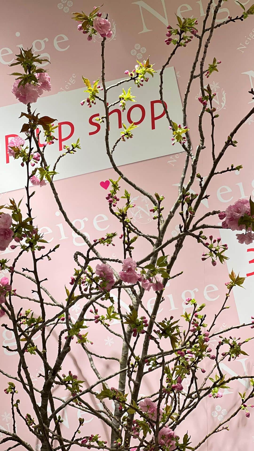 Okada Reinaのインスタグラム：「@neige_shop Popupで店頭にある商品のコーディネートをまとめてみました🤭 今回は人気の商品が再入荷して並んでいます😳💓  @jrkyotoisetan_themarket_4 にて開催中です🌸✨  #ootd #outfit #fashion #fashionlover #大人カジュアル#ママコーデ #ママファッション #プチプラコーデ #プチプラファッション #今日のコーデ #コーディネート #骨格ストレート #骨格ストレートコーデ #骨スト」