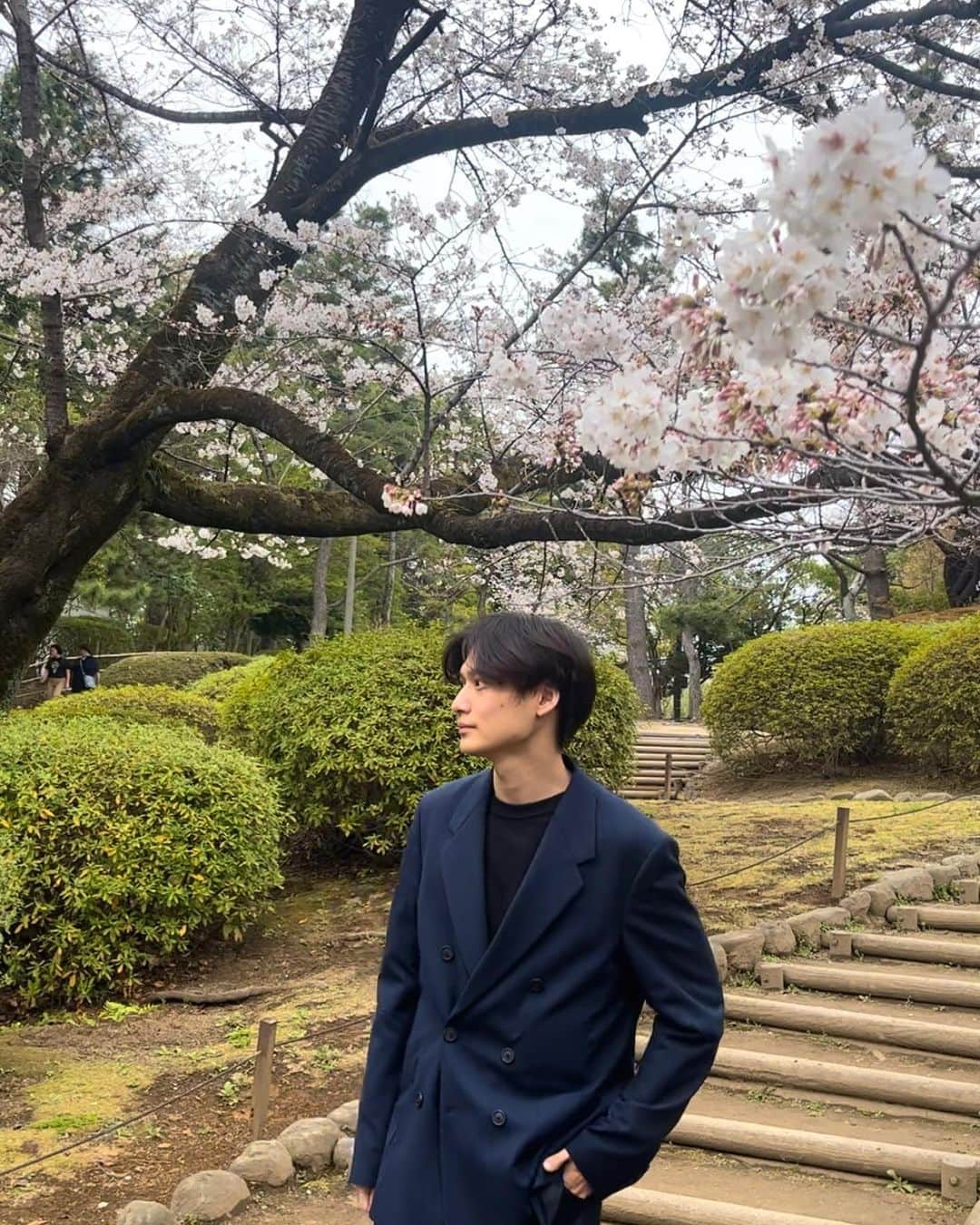 松本大志さんのインスタグラム写真 - (松本大志Instagram)「雨が降る前に今年の桜見れて良かった🌸 入学式卒業式シーズンはいつになっても新鮮な気持ちになれるね！ 自分が新たな気持ちで頑張ろうって気持ちになれるし本当にいい季節(花粉以外)🤧  卒業生の皆さんおめでとうございます㊗️」3月23日 11時08分 - taishi_ma