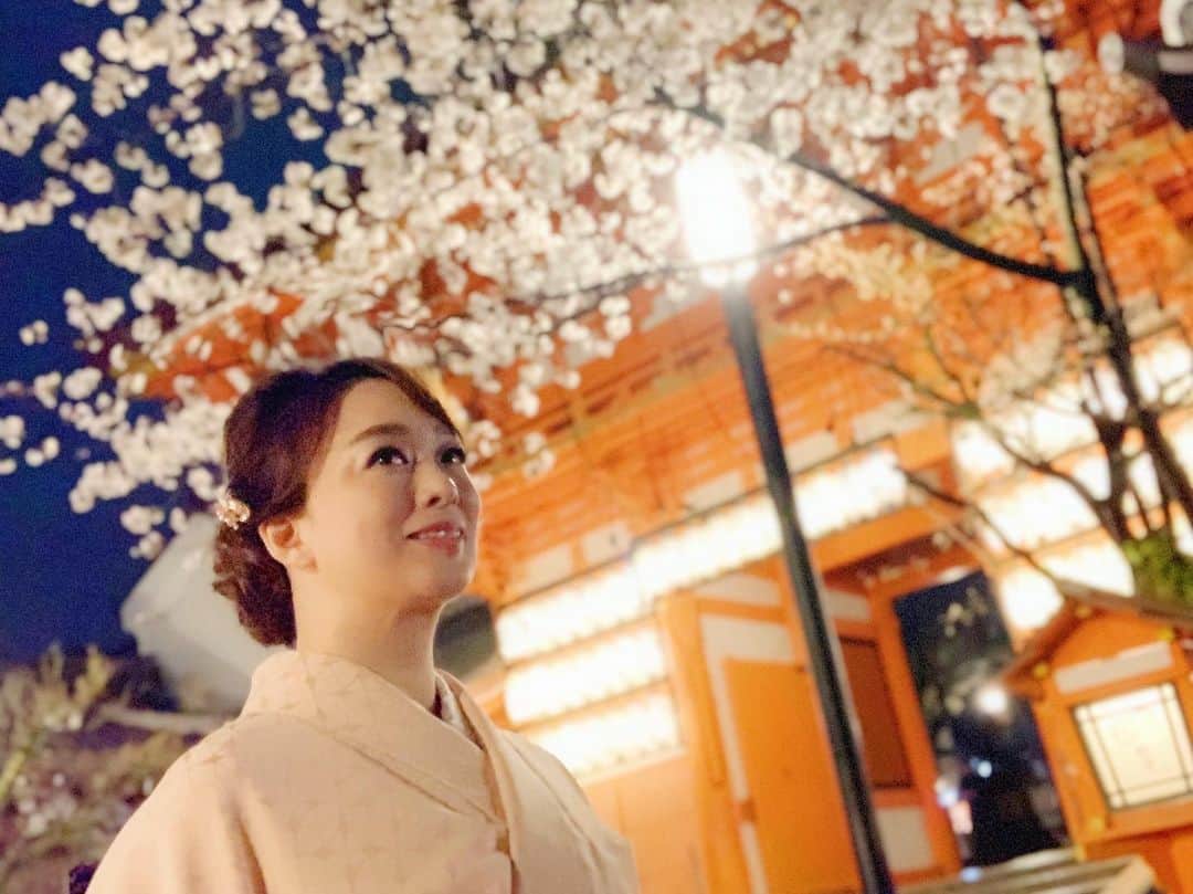 のインスタグラム：「宵の口、 雨が上がるのを待って… #八坂神社  から #円山公園　を歩いてみました🌸  #川柳#ことばの力#ことのは#575 #川柳を広めよう #お花見#夜桜#枝垂れ桜 #京都#kyoto#祇園#gion #季節の言葉」