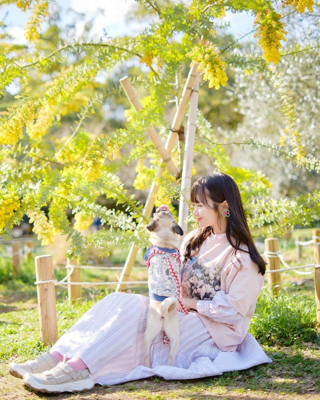 近藤沙瑛子のインスタグラム：「おはよう🐶✨️  📸 @photo_hrk0215」
