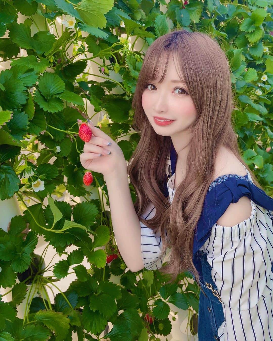 のインスタグラム：「念願のいちご狩り🍓 いちご甘くて美味しかった🥰🥰🥰  #新宿 #歌舞伎町 #六本木 #北新地 #大阪ミナミ #すすきの #中洲 #銀座 #キャバ嬢 #キャバクラ #kabukicho #japanesegirl #kawaiigirl #点赞 #关注 #评论 #可爱 #マザー牧場 #いちご狩り #いちご #noela #rirandture #春コーデ #春服」