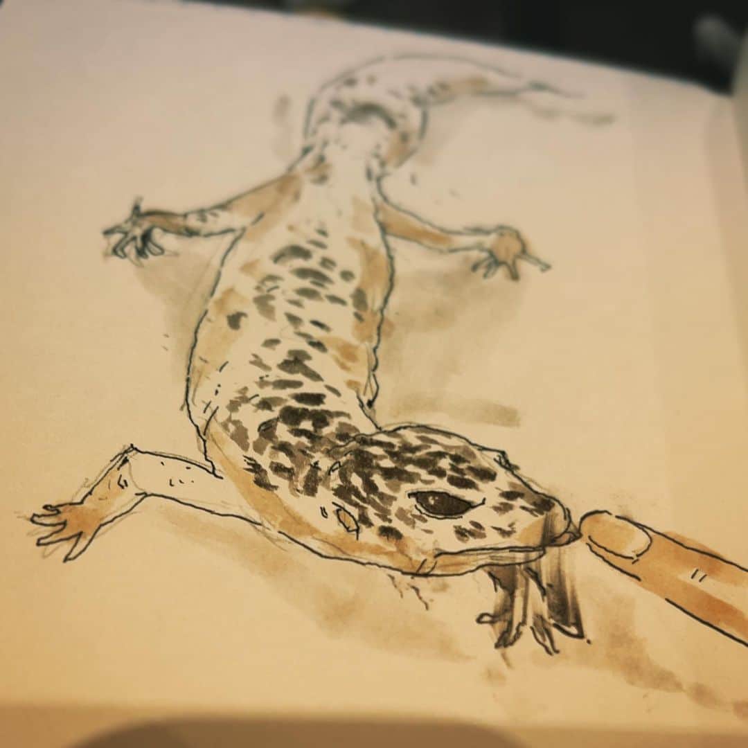 安倍吉俊のインスタグラム：「喫茶店で落描き。インク乾いてなかった……😱痛恨」