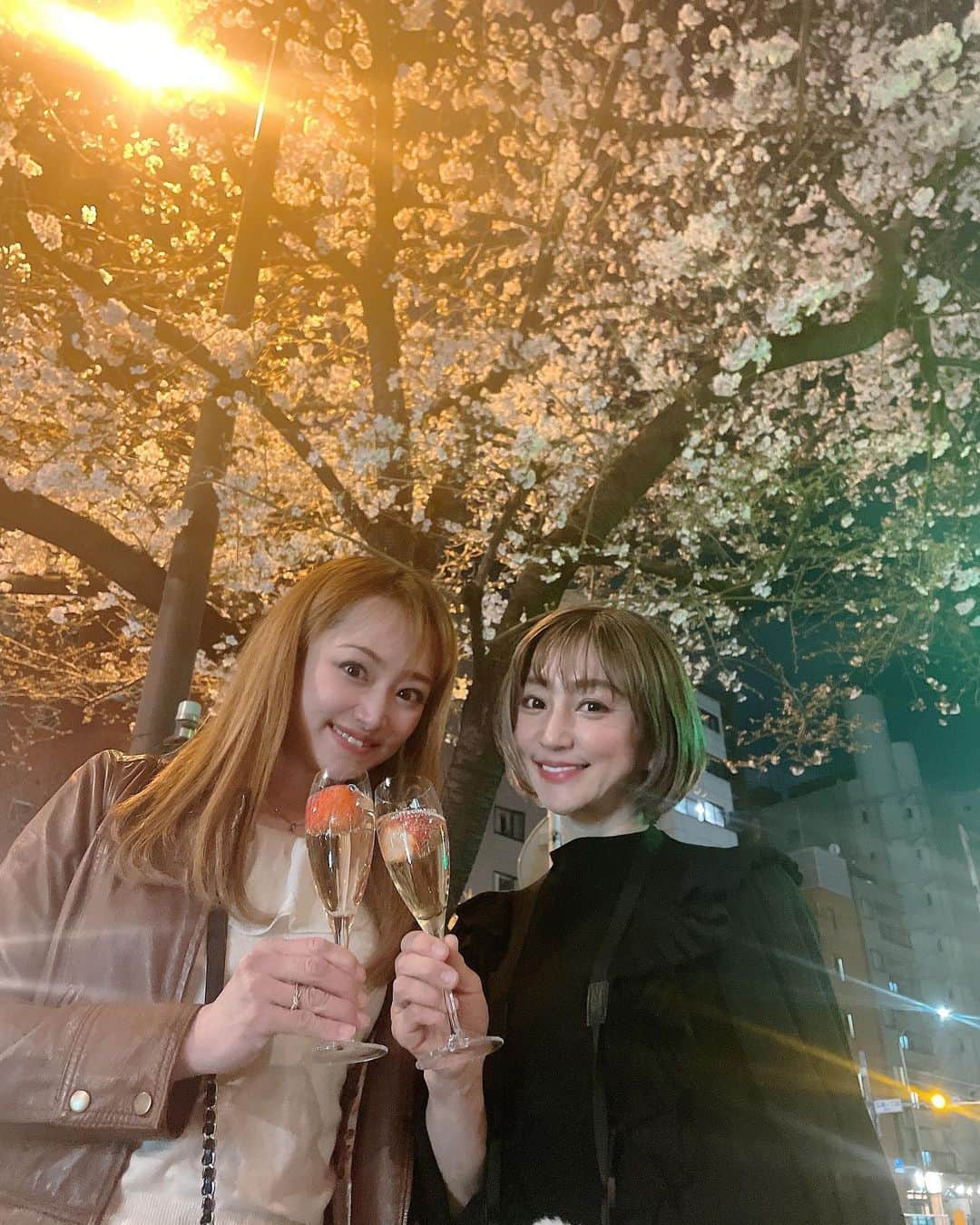 のインスタグラム：「桜🌸満開🤍 今日からしばらく雨のようなので 切ない🥹  #お花見 #桜 #いちごシャンパン #パグ」