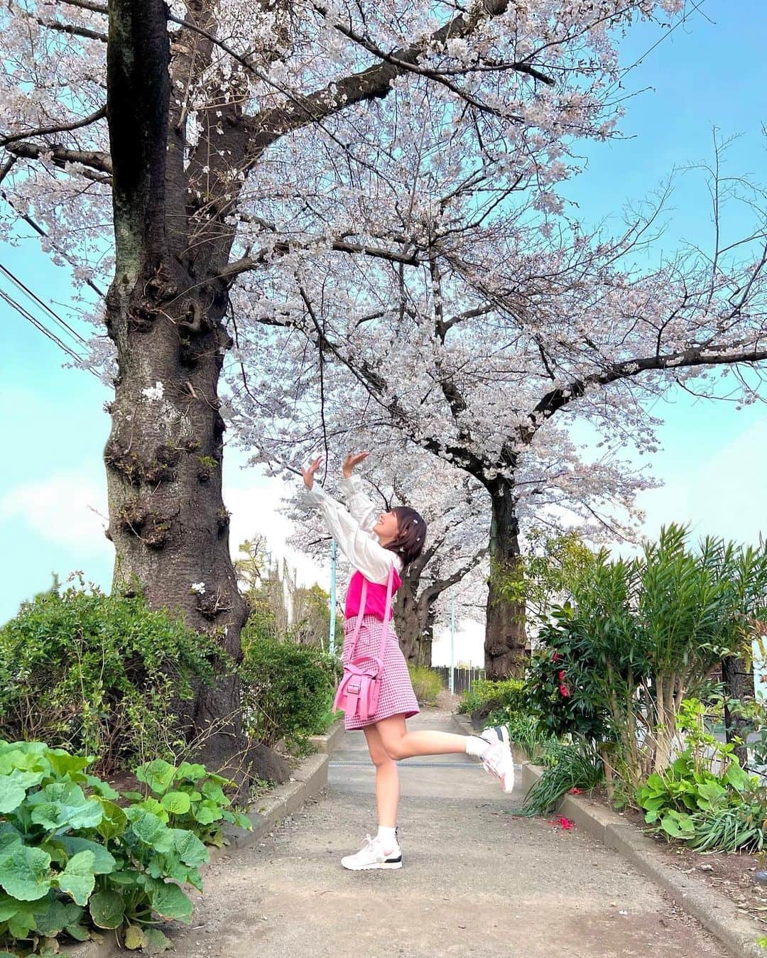 amiさんのインスタグラム写真 - (amiInstagram)「雨降る前に今年の桜と🌸🍃📷🌈 #桜 #春」3月23日 13時02分 - amidesudoumo