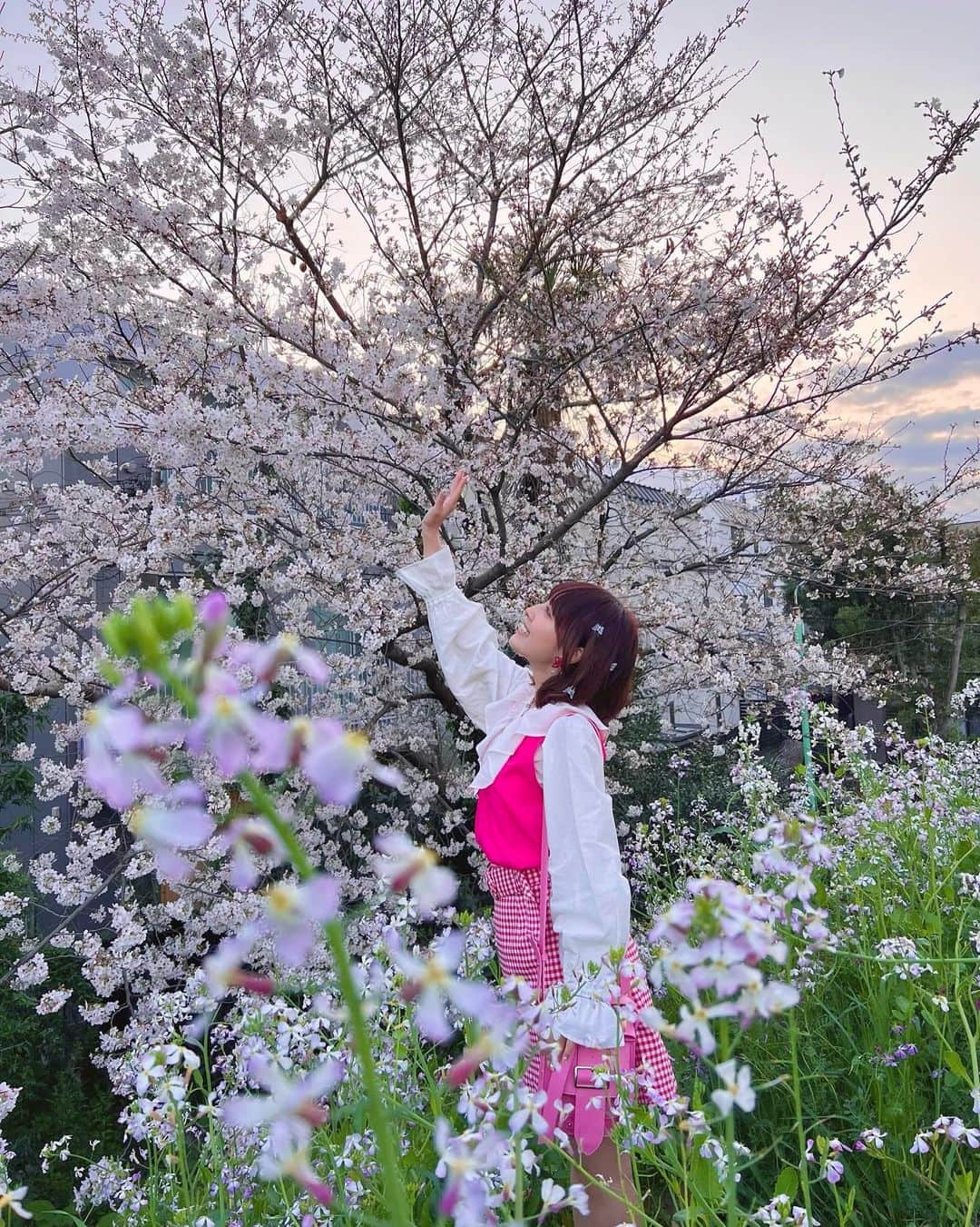 amiさんのインスタグラム写真 - (amiInstagram)「雨降る前に今年の桜と🌸🍃📷🌈 #桜 #春」3月23日 13時02分 - amidesudoumo