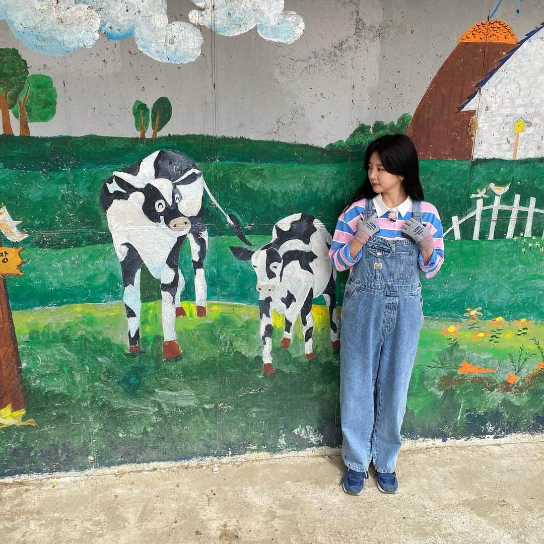ヘインのインスタグラム：「이날 소 100마리 봄🐄🐄🐄🐄」