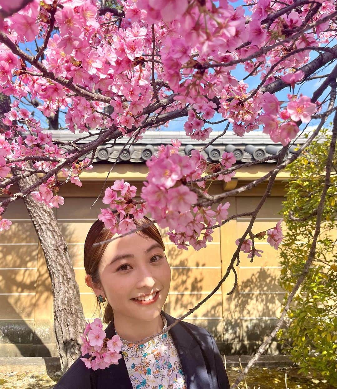 のインスタグラム：「今日はあいにくのお天気ですが…  休みの日に京都へ。 すっかり春めいた京都は、 さくらの香りや温かい日差しに包まれて どこにいっても満たされるようでした。  四季で訪れたい場所です。  #やすみの日 #弾丸旅 #桜 #🌸」