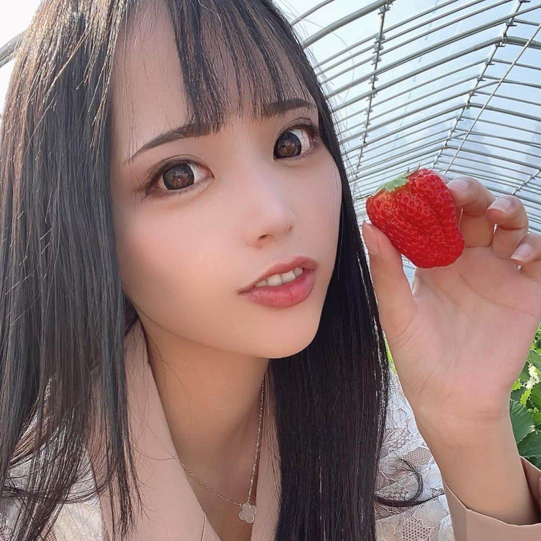 のインスタグラム：「春はいちご🍓が食べたくなる🤍  苺のスイーツ🍰もお酒🍸もつい買っちゃう🤭  #ライブ配信#ライバー#八重歯#宅建士#宅建#宅地建物取引士#不動産営業#イギリス留学#バセドウ病#吃音症#過敏性腸症候群#🧢なつみ👻🍊#ファッション誌モデル#着物モデル#いちご狩り#苺#gravesdisease#stuttering」
