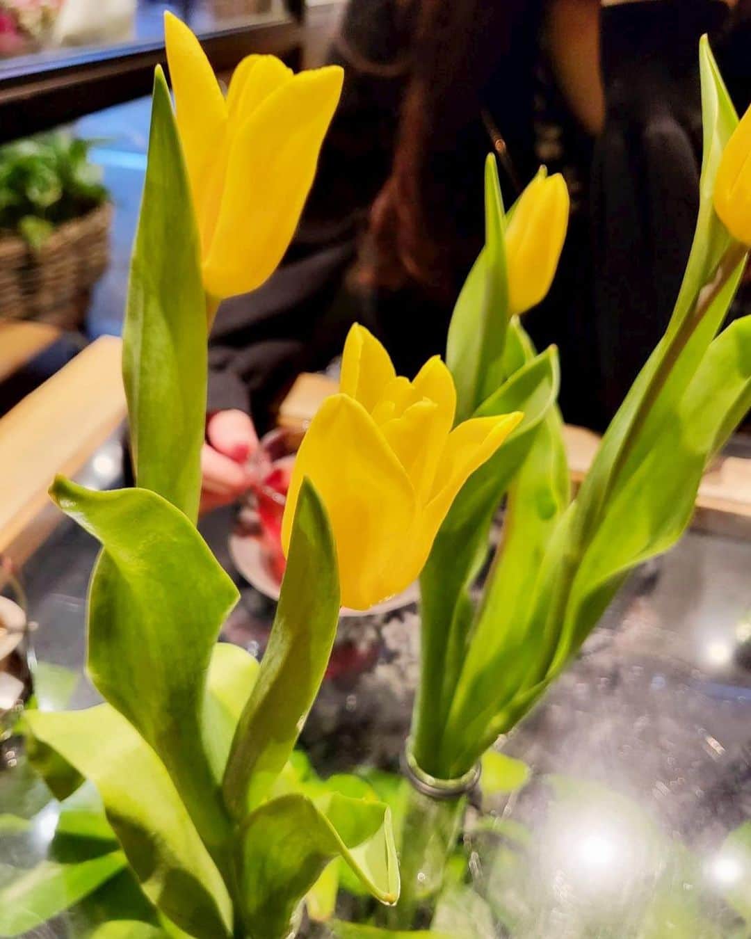 井上ほの花さんのインスタグラム写真 - (井上ほの花Instagram)「🌟🧸  いつかスプリンググリーンのチューリップを見たいんだ〜  #ほの花とお花のツーショット」3月23日 15時51分 - milky_milky0209