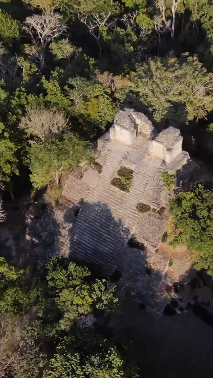 National Geographic Creativeのインスタグラム：「Video by @rubensalgadoescudero | I’m on assignment for @natgeo in Mexico’s Quintana Roo region continuing an exciting story on how new technologies are changing the way that archeologists discover treasures within the Mayan world. Here we see the Temple of the Owl, the main structure in the plaza group in Dzibanche. Dzibanche means “writing on wood” in the Yucatec Maya language, and is named for a wooden support lintel carved with glyphs found in one of the temples. It has been tentatively established that this was the original location of the mighty Kaan Kingdom of Calakmul. The site dates from the Late Pre Classic (300 BCE-250 CE) through the Late Post Classic (1100-1450 CE).」