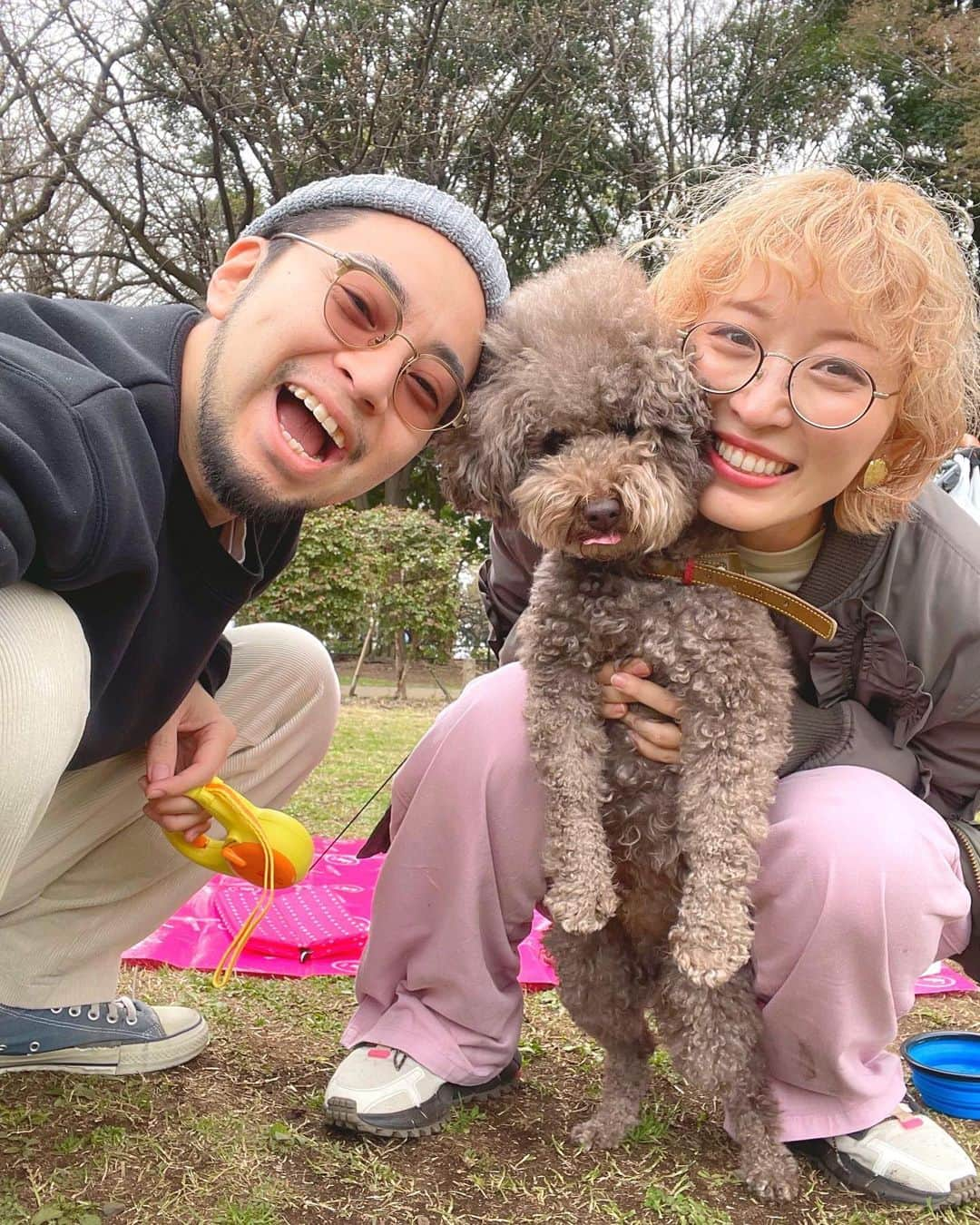 くまみきのインスタグラム：「もじゃ、6歳になりました🎂💕 お誕生日は家族でお花見へ🌸 じじばばからプレゼントとケーキももらって完全に孫です🤣 いつもみんなを笑わせてくれてありがとう🫶  プレゼントにもらったフォックスは大事に大事にされて2日で脳みそ出ました🧠  🦊{俺のこと…覚えてて…くれよな…]  #誕生日 #トイプードル #トイプードル男の子 #お花見 #ピクニック #🦊 #完全に孫 #もじゃもじゃ #くせ毛 #くせ毛を活かす #癖毛ショート #ショートヘア #ショートウルフ #めがね女子」