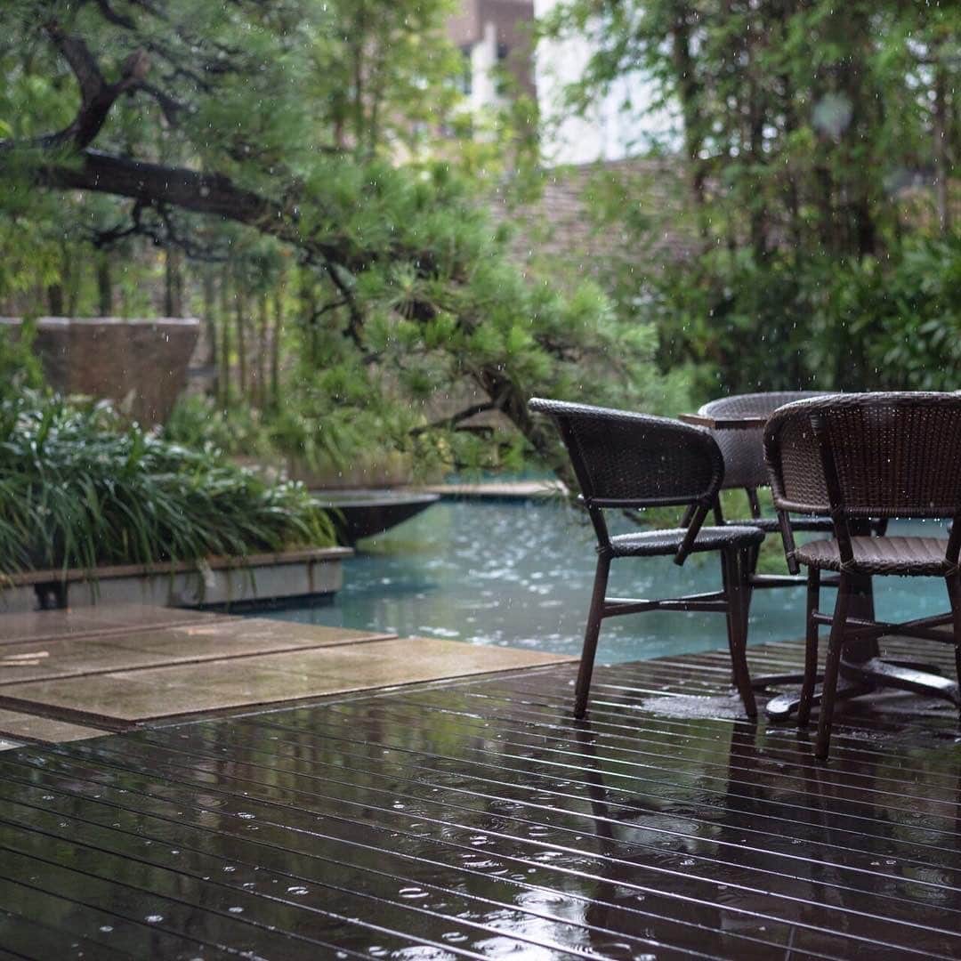 のインスタグラム：「. 春の雨。  3月下旬の雨は「桜雨」ともいうそうです。  神戸の街でも桜が咲き始め、 そこに柔らかく雨が降り注ぐ姿が なんとも春の風景で、情緒を感じます。  しばらくは 天気が崩れる日も多いようですが、 ご来館の皆様は お足元にお気をつけてお越しくださいませ。  #orientalhotelkobe」