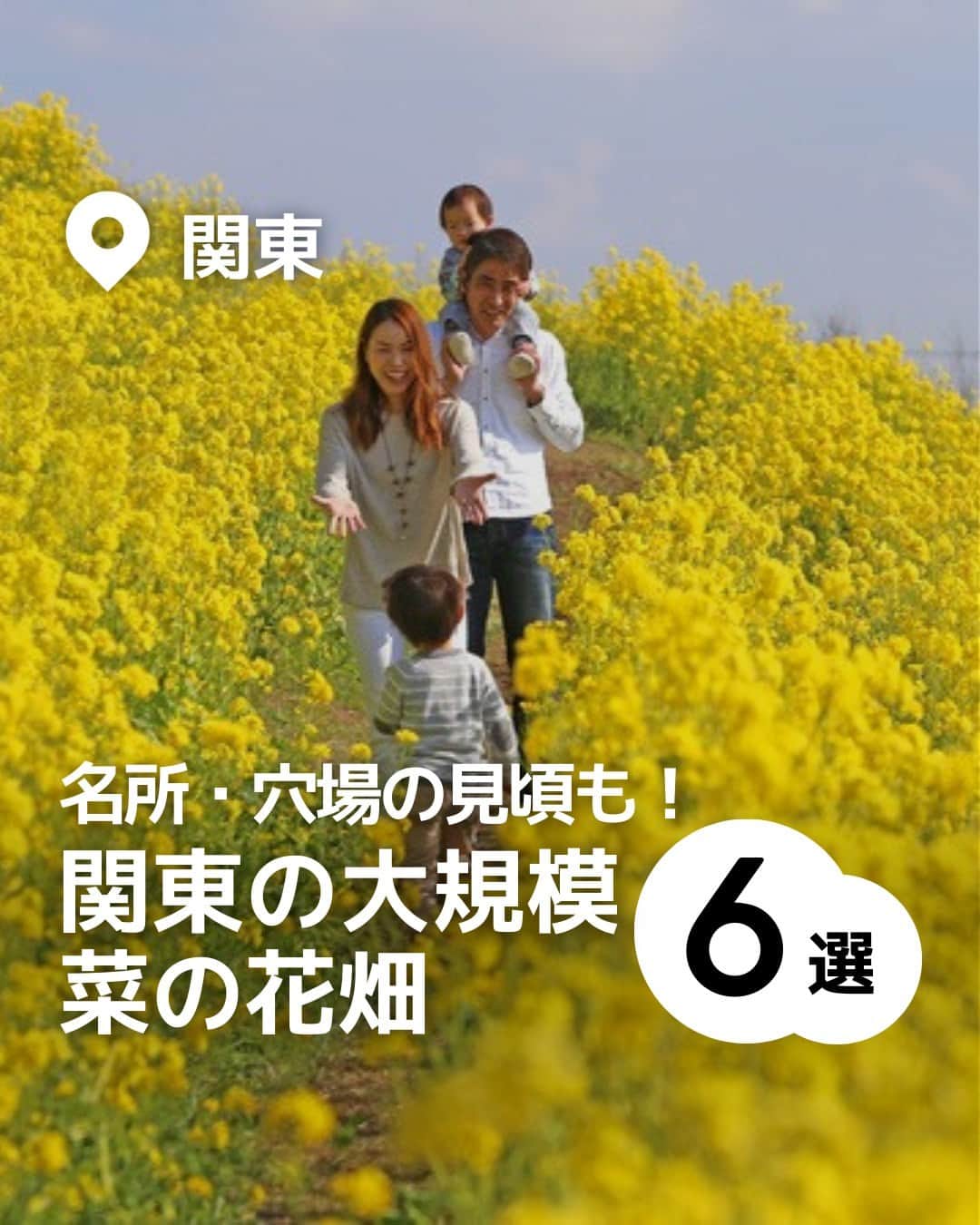 iko-yo（いこーよオフィシャル）さんのインスタグラム写真 - (iko-yo（いこーよオフィシャル）Instagram)「「関東の大規模 菜の花畑6選」 今回ピックアップしたのは↓ ーーーーーーーーーーーーーーーーーー  📍東京都中央区 【浜離宮恩賜庭園】 毎年2月下旬〜3月下旬にかけて、約30万本の菜の花が一面に咲き誇ります。江戸時代から続く庭園では、都内唯一の海水の池「潮入の池」などもあり、親子で庭園めぐりをしながらお散歩するのもオススメです。  📍東京都立川市 【国営昭和記念公園】 園内には子供が夢中になって遊べる遊具も充実。ふわふわドームやハンモック遊具がある「こどもの森」や、小さな子供向けの「わんぱくゆうぐ」など、カラダをたくさん動かして遊ぶことができます。  📍千葉県富津市 【マザー牧場】 ヒツジやカピバラなど、さまざまな動物とのふれあいやエサやり体験も可能。こぶたスタジアムで毎日開催される「こぶたのレース」は子供に大人気！小さな子供向けのアトラクションが充実した遊園地もあるので、家族で1日満喫できます。  📍千葉県成田市 【成田ゆめ牧場】 東京ドームの約7倍の広さを誇り、花畑の周りを走るトロッコ列車に乗るのもオススメ！アスレチックや芝すべり、釣り堀など、親子で遊べる施設が充実しています。  📍千葉県成田市 【甚兵衛公園】 四季折々の花々が美しい公園で、春には菜の花が咲き誇るスポットとして有名です。園内にはサイクリングコースもあるので、自転車で巡ってみるのもおすすめ。  📍 埼玉県幸手市 【県営権現堂公園】 桜の名所としても知られる県営公園。多目的運動広場（1号公園）の遊具広場は子供に大人気！　船長気分で遊べる大きな帆船遊具は、一定時間ごとに帆船の前方から霧が吹き出すユニークな仕掛け付きです。  ※2023年3月13日時点の情報です。 最新の情報は公式HPや「いこーよ」サイトでご確認ください。 ーーーーーーーーーーーーーーーーーーー おでかけ情報量は日本最大級！ 子どもとお出かけ情報サイト「いこーよ」 「親子でおでかけしたい場所」をご紹介させていただいています！  お子さんとのおでかけの思い出の写真を、このアカウントをフォローの上#いこーよ をつけてぜひ投稿してください。魅力的な写真は、いこーよ公式SNSで紹介させていただきます！  募集中タグ＃いこーよ  「子どもと行きたい！」と思ったら保存が便利！ プロフィールのURLから「いこーよ」のサイトに行くと、他の投稿やオトクな情報などが載っています♪ ☞ @ikoyo_odekake  #いこーよ #お出かけ #おでかけ #お出かけスポット #子育て #こどものいる暮らし #子連れスポット #いこーよお出かけ部 #東京ママ#東京観光#東京旅行#神奈川ママ#神奈川観光#神奈川旅行#千葉ママ#千葉観光#千葉旅行#埼玉ママ#埼玉観光#埼玉旅行#菜の花畑#菜の花#浜離宮恩賜庭園#国営昭和記念公園#マザー牧場#成田ゆめ牧場#甚兵衛公園#県営権現堂公園」3月23日 19時01分 - ikoyo_odekake