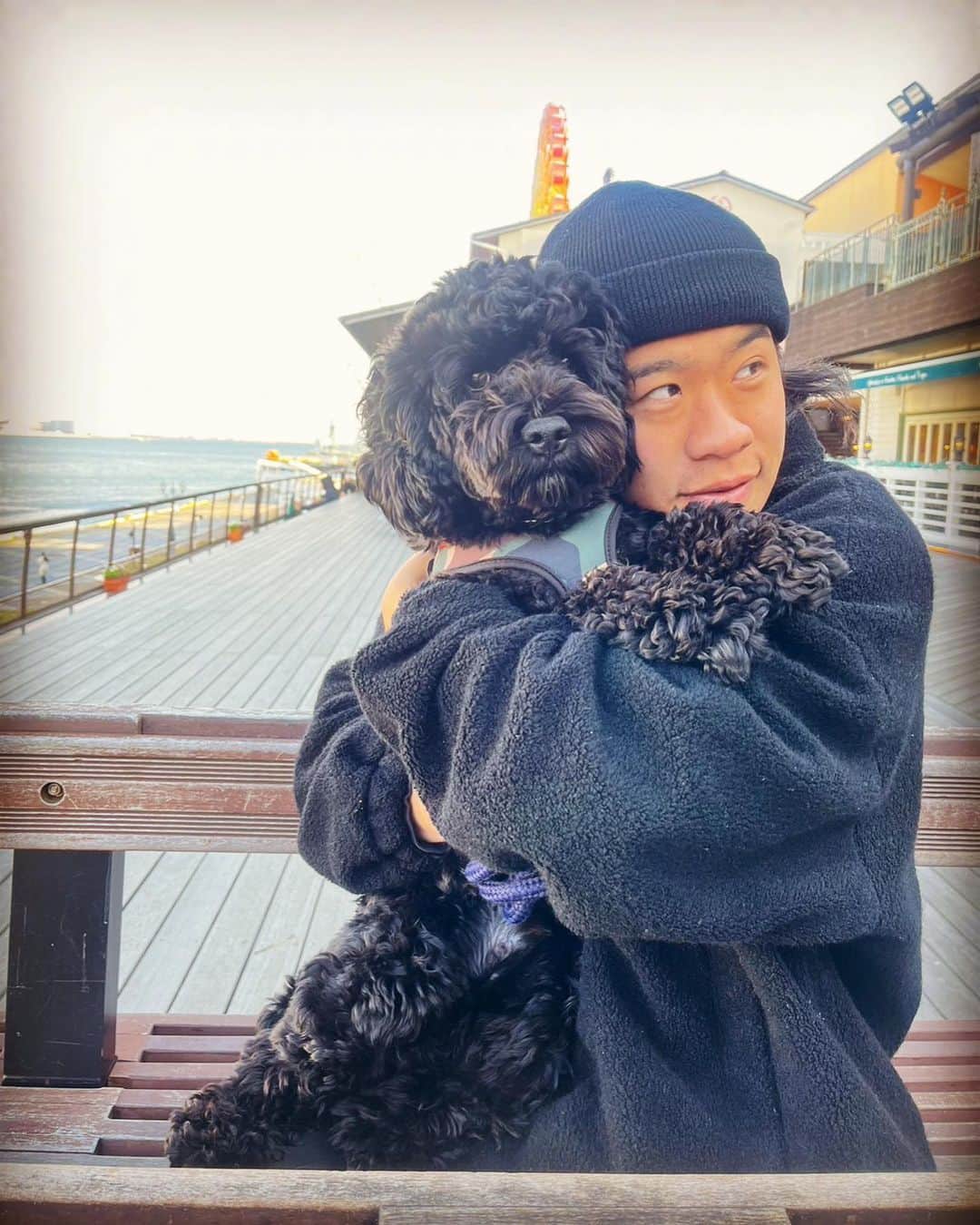 のインスタグラム：「クリクリのモコモコが愛おしい😂 アメコカとプードルのMIXなんで身体は大きめです✨  #愛犬  #1歳4ヶ月」