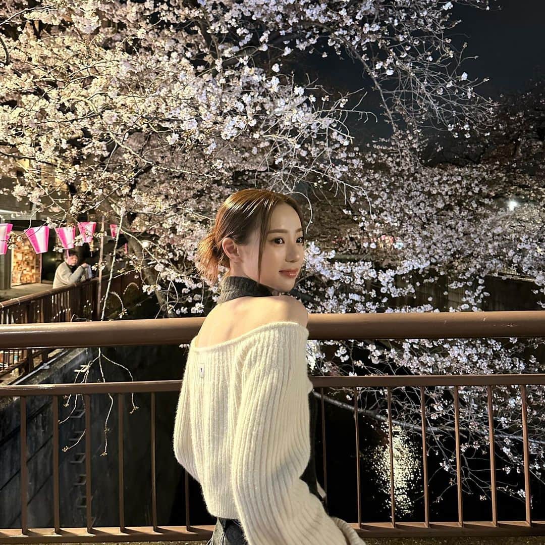 中町綾のインスタグラム：「桜が綺麗すぎて一生散歩してた幸せ」