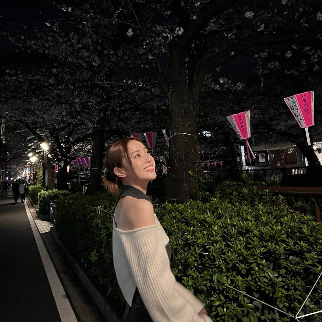 中町綾さんのインスタグラム写真 - (中町綾Instagram)「桜が綺麗すぎて一生散歩してた幸せ」3月23日 19時27分 - ayanakamachi