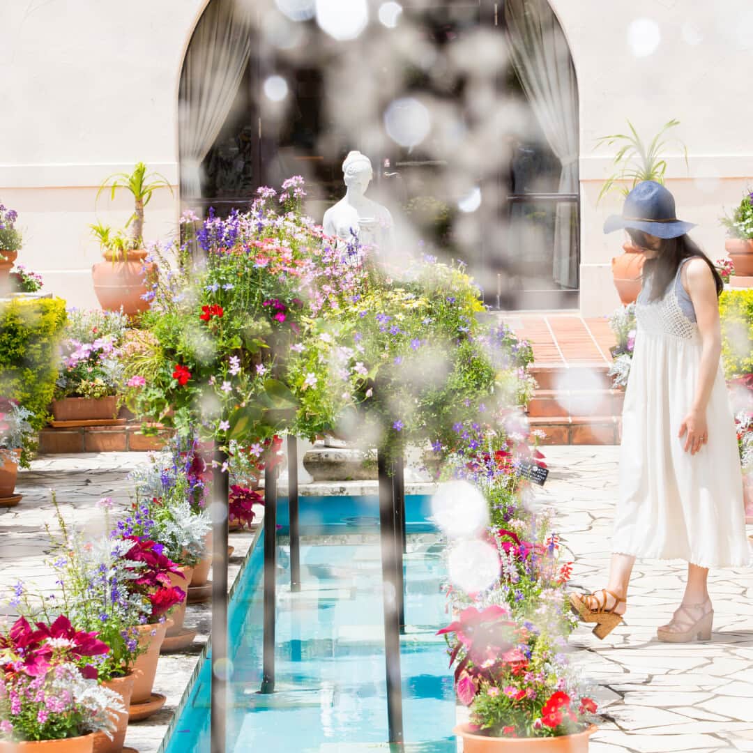 ホテル日航アリビラ 公式Instagramさんのインスタグラム写真 - (ホテル日航アリビラ 公式InstagramInstagram)「＼ホテル日航アリビラで「パティオフラワーフェスティバル」を開催✨／  スペインのコルドバの伝統的な年中行事、中庭の美しさを披露する「パティオ祭り」をイメージした花の祭典🌷 異国情緒漂うパティオのシンボルの噴水や女神像が満開の花々に彩られ、花を敷きつめたフラワーカーペットの花壇、色とりどりの花を詰め込んだトピアリーやハンギングと、パティオ全体が花の楽園に大変身。花にまつわる書籍が並ぶラウンジテラスのフラワーライブラリーやアコースティックギターなどの生演奏で朝を迎えるプロムナードコンサートなど、期間限定のイベントも満載。 花に囲まれ幸福感に包まれた南欧風のアリビラならではの空間で、くつろぎの時間と心を震わせる幸せなひとときをお過ごしください🌸  パティオフラワーフェスティバルの詳しい情報はプロフィールリンクからチェック👀  🌺パティオフラワーフェスティバル🌺 【期間】2023年4月1日（土）～5月31日（水） 【場所】ホテル日航アリビラ パティオ 【料金】鑑賞無料 --------------------------------------------------- ホテル日航アリビラは沖縄西湾岸の雄大な自然の地形を活かして建てられたオンザビーチのホテル。目の前に沖縄本島屈指の透明度を誇る“アリビラブルー”の海が広がり、スパニッシュコロニアル調の建物全体は太陽・波音・星空と溶け込んだアートのような景観。歴史と文化を色濃く残す、読谷村という地域に根差した“ここにしかないおもてなし”と、当ホテルが守り続ける自然に溶け込む“アリビラ時間”をお届けします。 --------------------------------------------------- 公式アカウントではホテル日航アリビラの館内施設やニライビーチ、アリビラ時間の楽しみ方を日々ご紹介。期間限定のキャンペーンやフェスティバルもお見逃しなく😊  #ホテル日航アリビラ #アリビラ #リゾート #アリビラブルー #アリビラ時間 #ニライビーチ #沖縄 #読谷 #ビーチ #花 #パティオフラワーフェスティバル」3月23日 20時00分 - hotelnikkoalivila