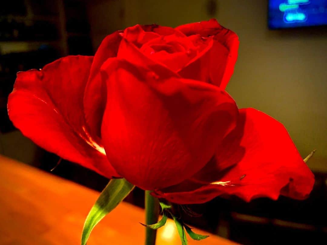 省吾さんのインスタグラム写真 - (省吾Instagram)「こんばんは  今夜のS-CONNECTION 真紅の薔薇が貴方をお待ちしてますよ🌹」3月23日 19時45分 - shogo_hinokuruma