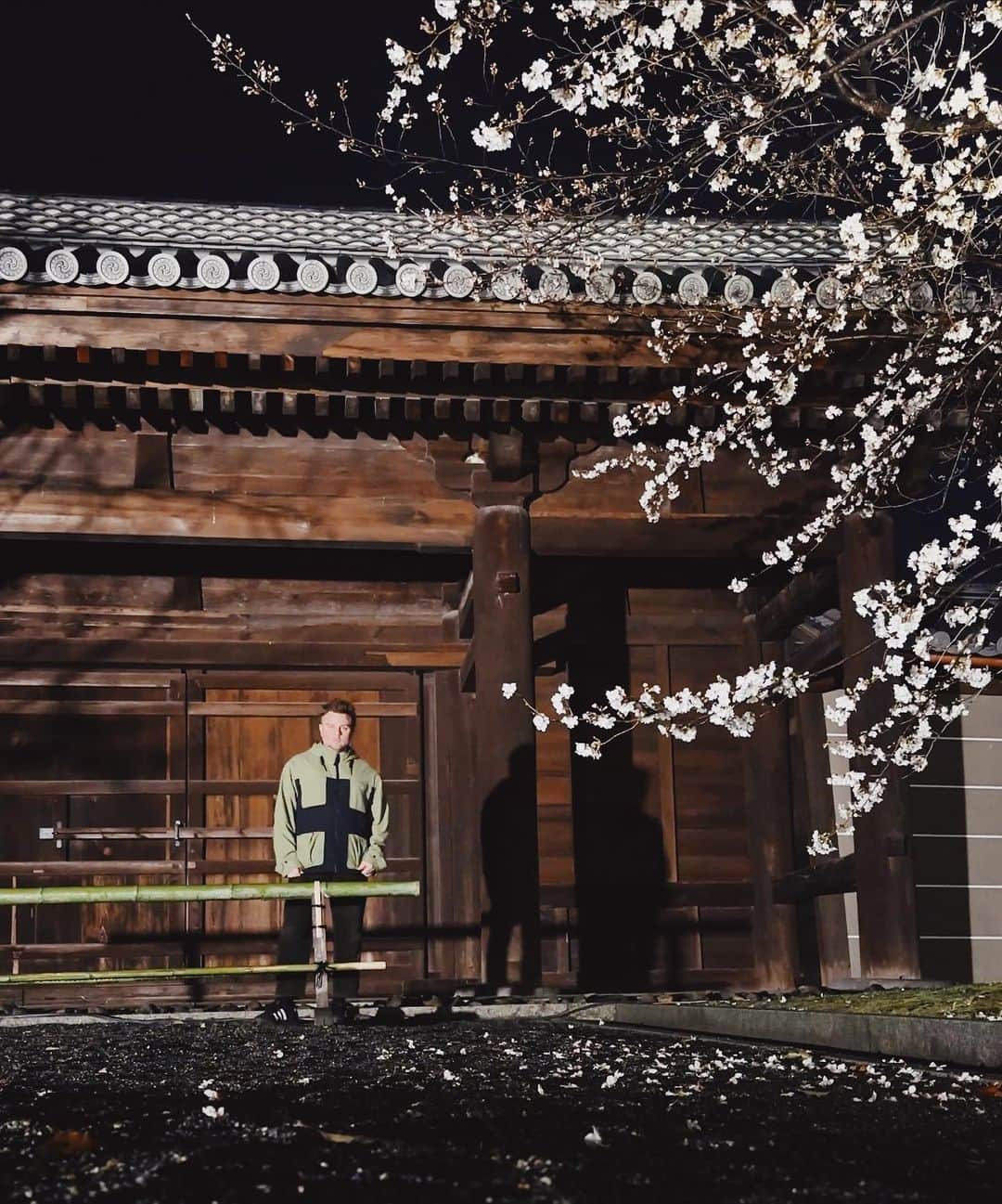 東京DANDYのインスタグラム：「The Spring equinox is one of the most auspicious days in the calendar in Japan. A chance to visit Kyoto for temple prayers and Sakura at Toji, then hidden hidden bars in Gion. Then, at the Kitano Odori, mind blowing performance by the seasons top Maiko, Geiko and Geisha. A spring awakening. Mind and body.   #東寺 #京都 #kyoto #blossom #さくら #上七軒歌舞会 #北野をどり」