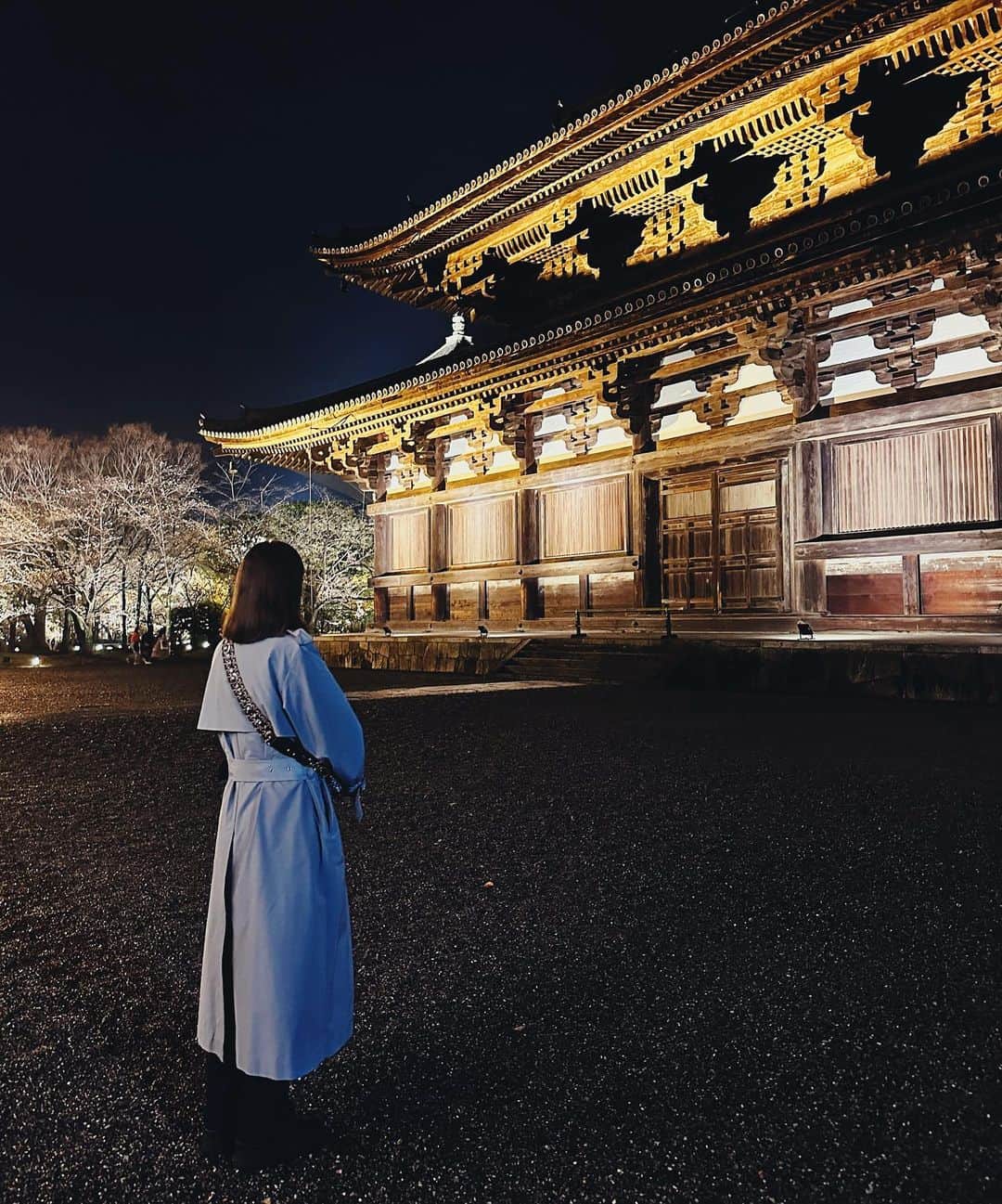 東京DANDYさんのインスタグラム写真 - (東京DANDYInstagram)「The Spring equinox is one of the most auspicious days in the calendar in Japan. A chance to visit Kyoto for temple prayers and Sakura at Toji, then hidden hidden bars in Gion. Then, at the Kitano Odori, mind blowing performance by the seasons top Maiko, Geiko and Geisha. A spring awakening. Mind and body.   #東寺 #京都 #kyoto #blossom #さくら #上七軒歌舞会 #北野をどり」3月23日 20時04分 - tokyodandy