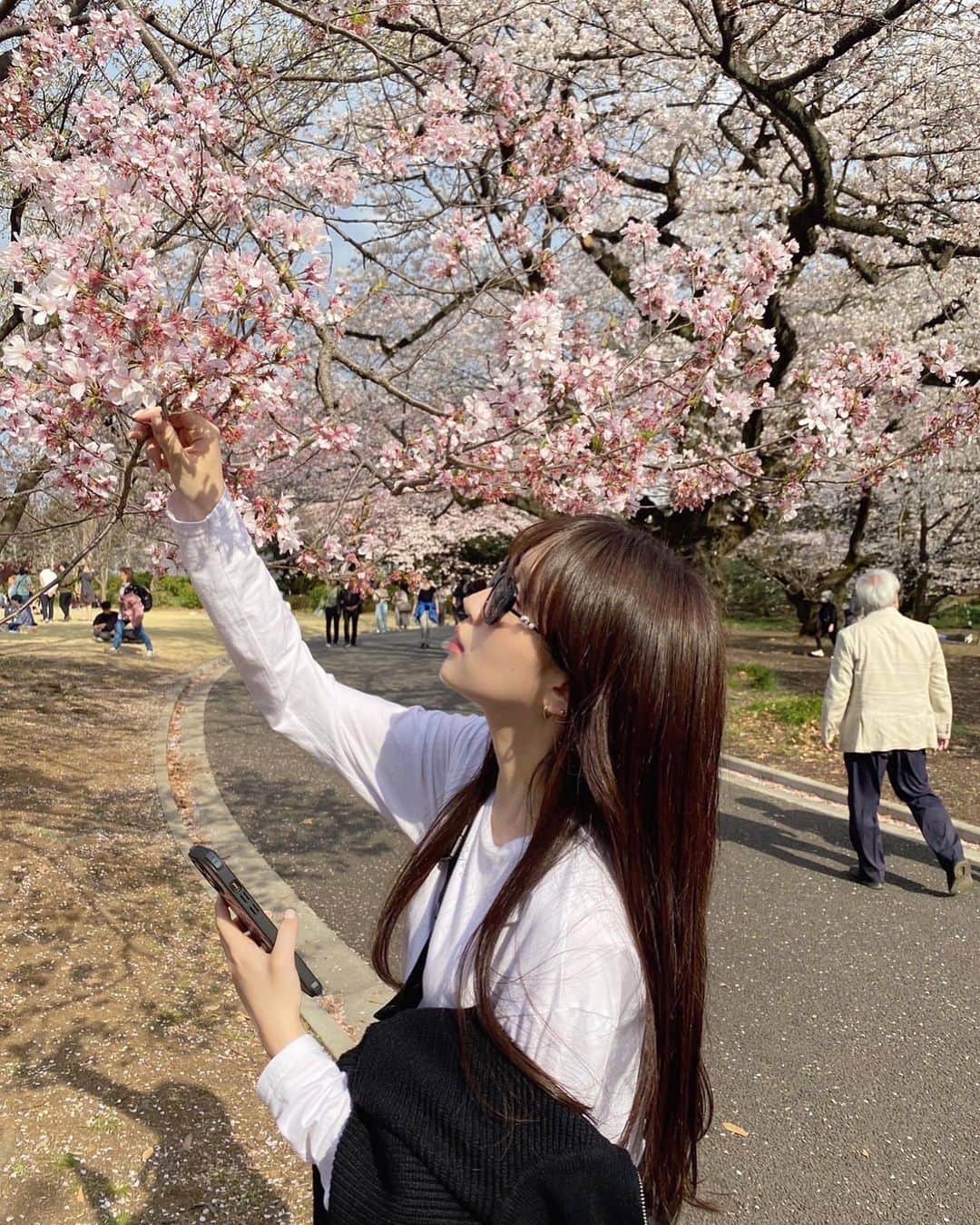 田口珠李さんのインスタグラム写真 - (田口珠李Instagram)「아주 좋아하는 계절이 왔다🌸 花粉との戦い」3月23日 20時12分 - suaaminm