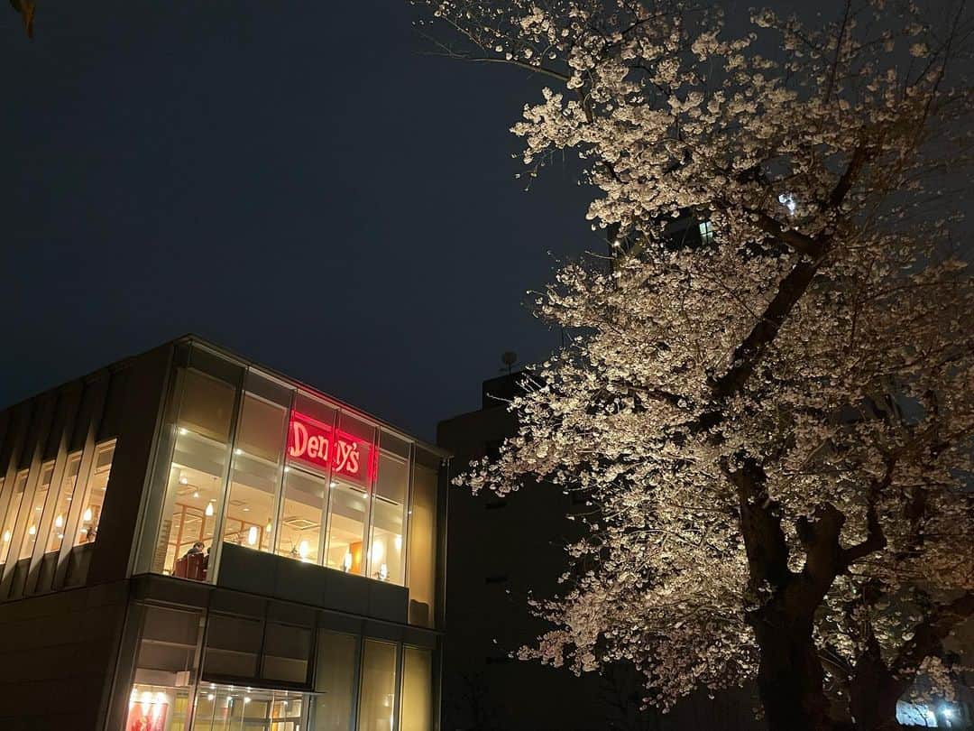 藤沢久美さんのインスタグラム写真 - (藤沢久美Instagram)「この季節だけ、特別な場所になるデニーズ。」3月23日 20時46分 - kumifujisawa