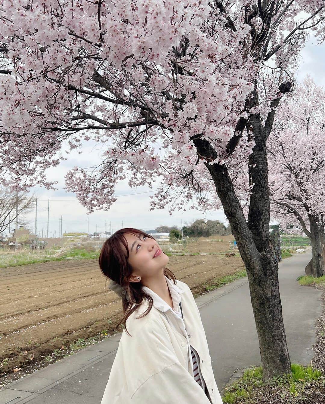 篠崎彩奈さんのインスタグラム写真 - (篠崎彩奈Instagram)「桜が綺麗な季節ですね🌸☺️ photo by なおき (兄) #桜 #お花見」3月23日 21時38分 - ayana.s_official