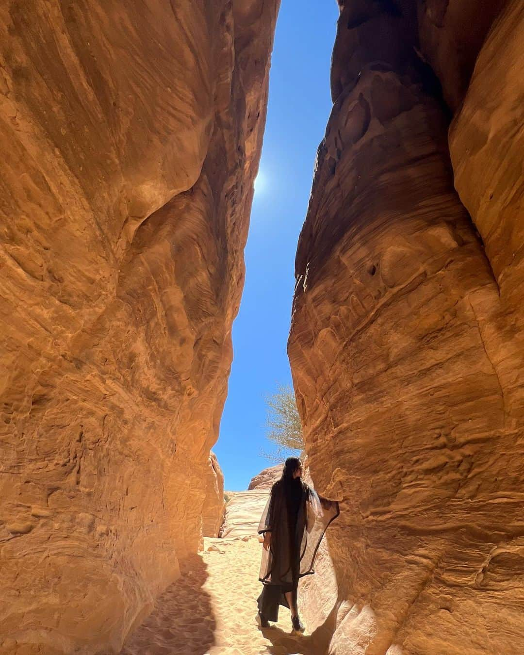 ローラ・ゼンさんのインスタグラム写真 - (ローラ・ゼンInstagram)「oasis in the 🏜️」3月23日 21時39分 - toss_and_catch