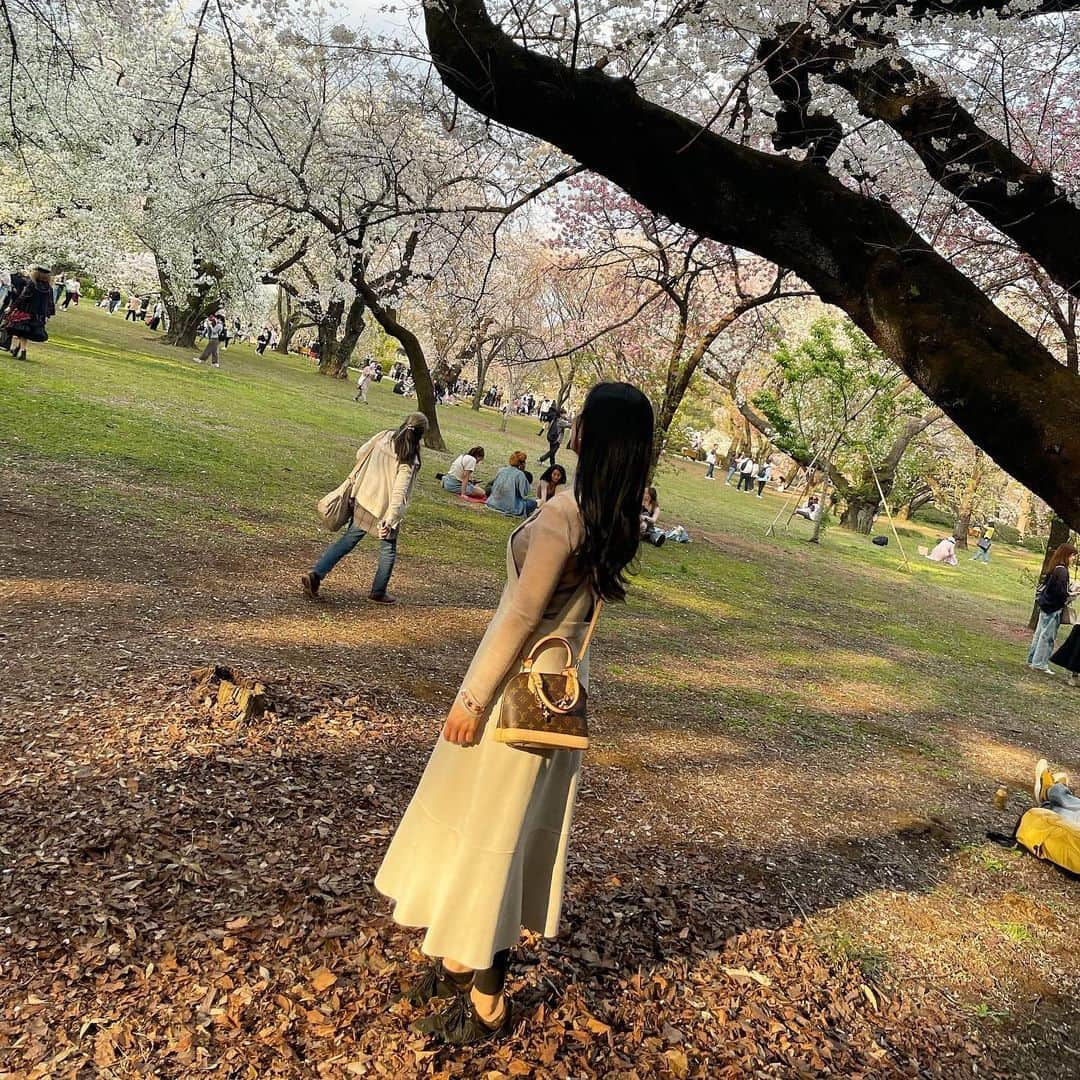 脊山麻理子さんのインスタグラム写真 - (脊山麻理子Instagram)「昨日は新宿御苑の桜を観てきました♡満開の桜と青空と夕陽で春爛漫♡お花見しながら、次は飲みたいな♡ #みるくぽん  #お花見 #桜満開 #新宿御苑  #2023春 #お花見 #お花見したい」3月23日 21時55分 - mariko_seyama_milkpon