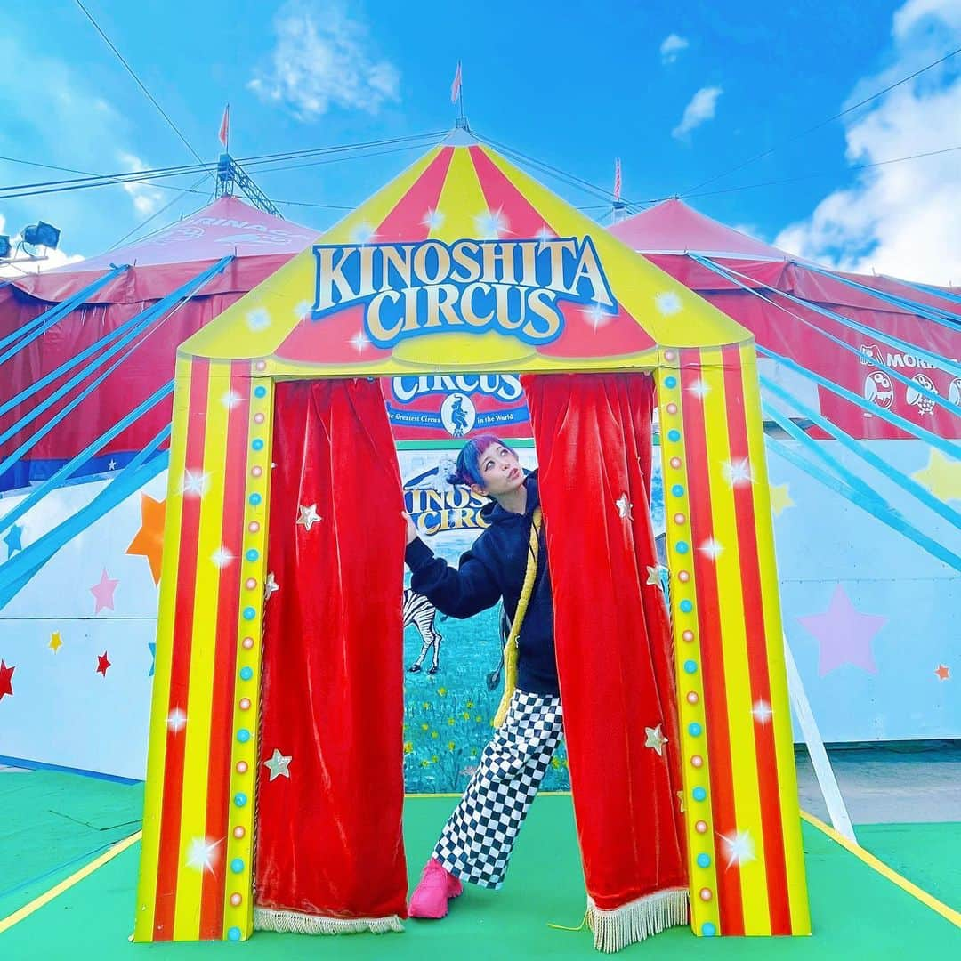 紅林大空のインスタグラム：「🎪🦓☀️」