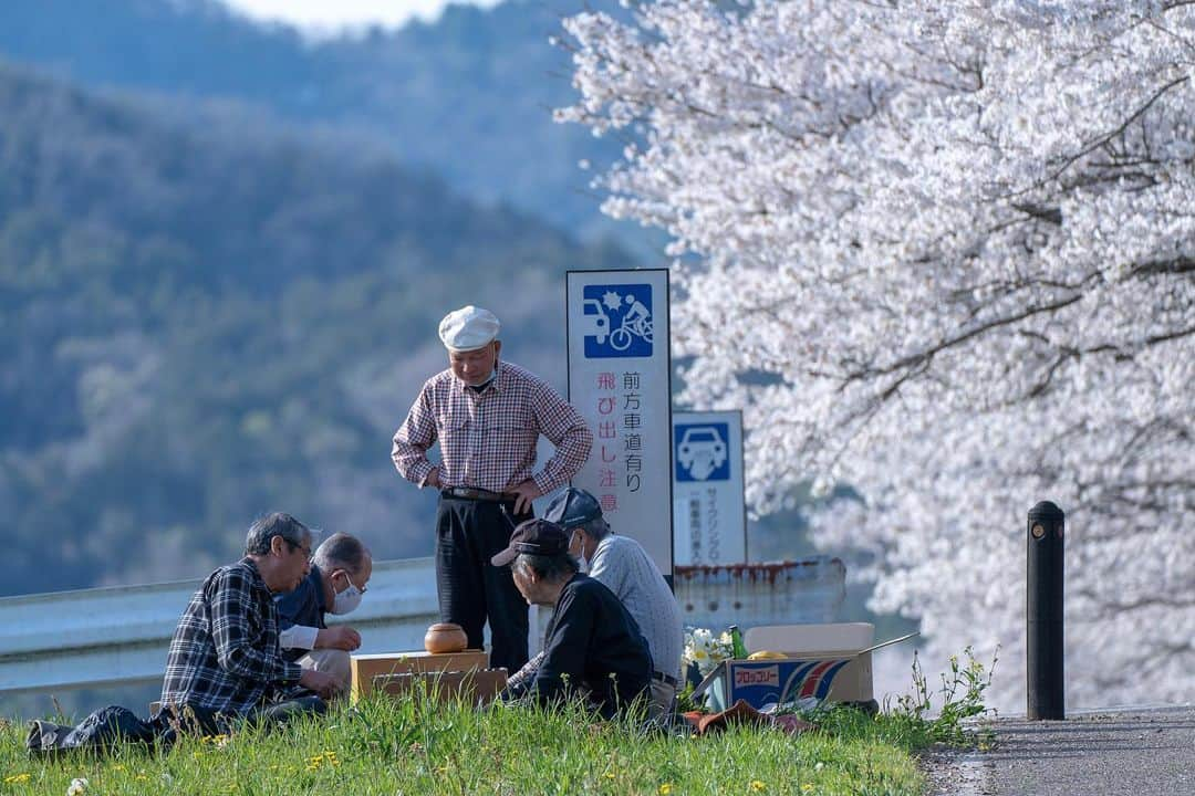 Yota Towatariのインスタグラム：「お花見。  #photo #photooftheday #photography #beautiful #sakura #sakuraphoto #ohanami #igo #spring #oneyearsago #kakamigahara #gifu #japan」