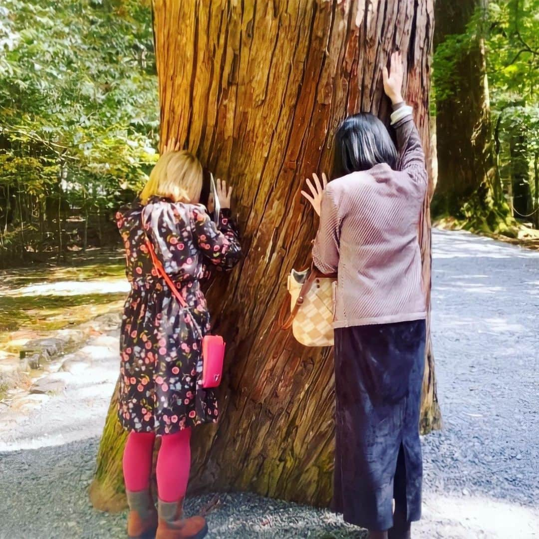 浜田ブリトニーさんのインスタグラム写真 - (浜田ブリトニーInstagram)「瀧原宮のねじれ杉で エネルギーチャージ🌳 ⁡ 木に触るときは 「触っていいですか❓」って 聞いてから触ると良いんだって🌟 ⁡ #お伊勢参り #瀧原宮 #パワースポット #ねじれ杉 #辛酸なめ子 #浜田ブリトニー」3月23日 23時01分 - bri47ha