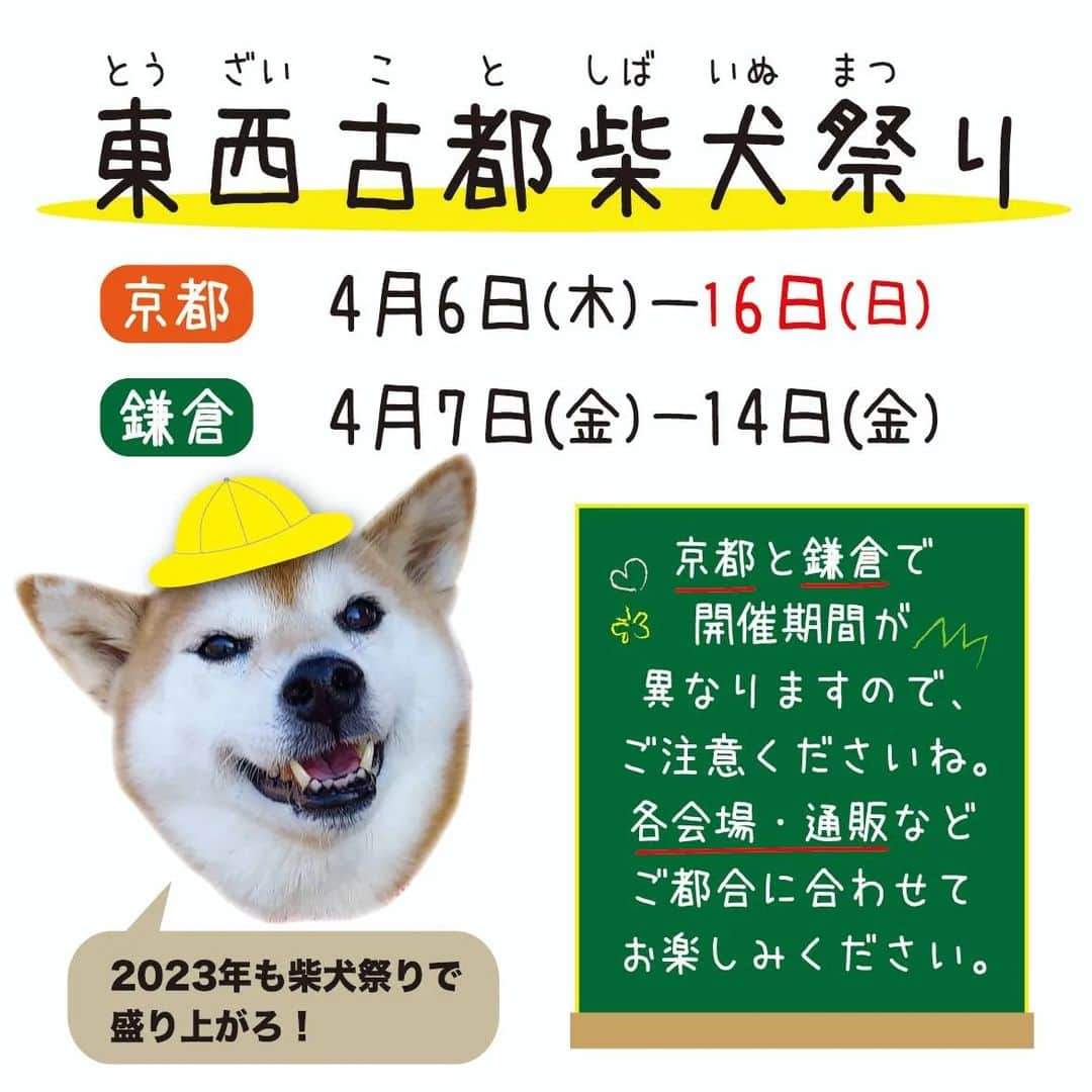 ハナとソラのインスタグラム：「今年もこの季節がやってきました🌸  『東西古都柴犬祭り』が今年も開催されます👏👏👏  京都会場:Dog cafe @kyotodogcafe  4月6日(木)～16日(日)  鎌倉会場:まんぷくガーデン @manpucu_garden 4月7日(金)～14日(金)  時間、注意事項など、詳細につきましては各会場のSNSにてご確認ください🙇‍♀️  ここ柴もここ柴グッズで参加させていただきます😊 今年のここ柴のテーマは、、  「日常にここ柴を」   普段使いできるファッションアイテムをラインナップ💓 グッズは追ってご紹介いたします😉  #東西古都柴犬祭り #柴犬#ここ柴部#shibainu#しばすたぐらむ#ここ柴グッズ」