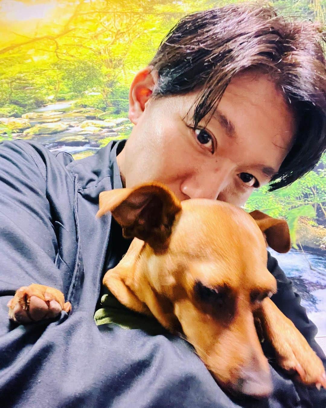 広音のインスタグラム：「お誕生日おめでとう🎁 僕を選んでくれて本当にありがとう！ これからもよろしくね🐶 #愛犬 #お誕生日 #離さない」