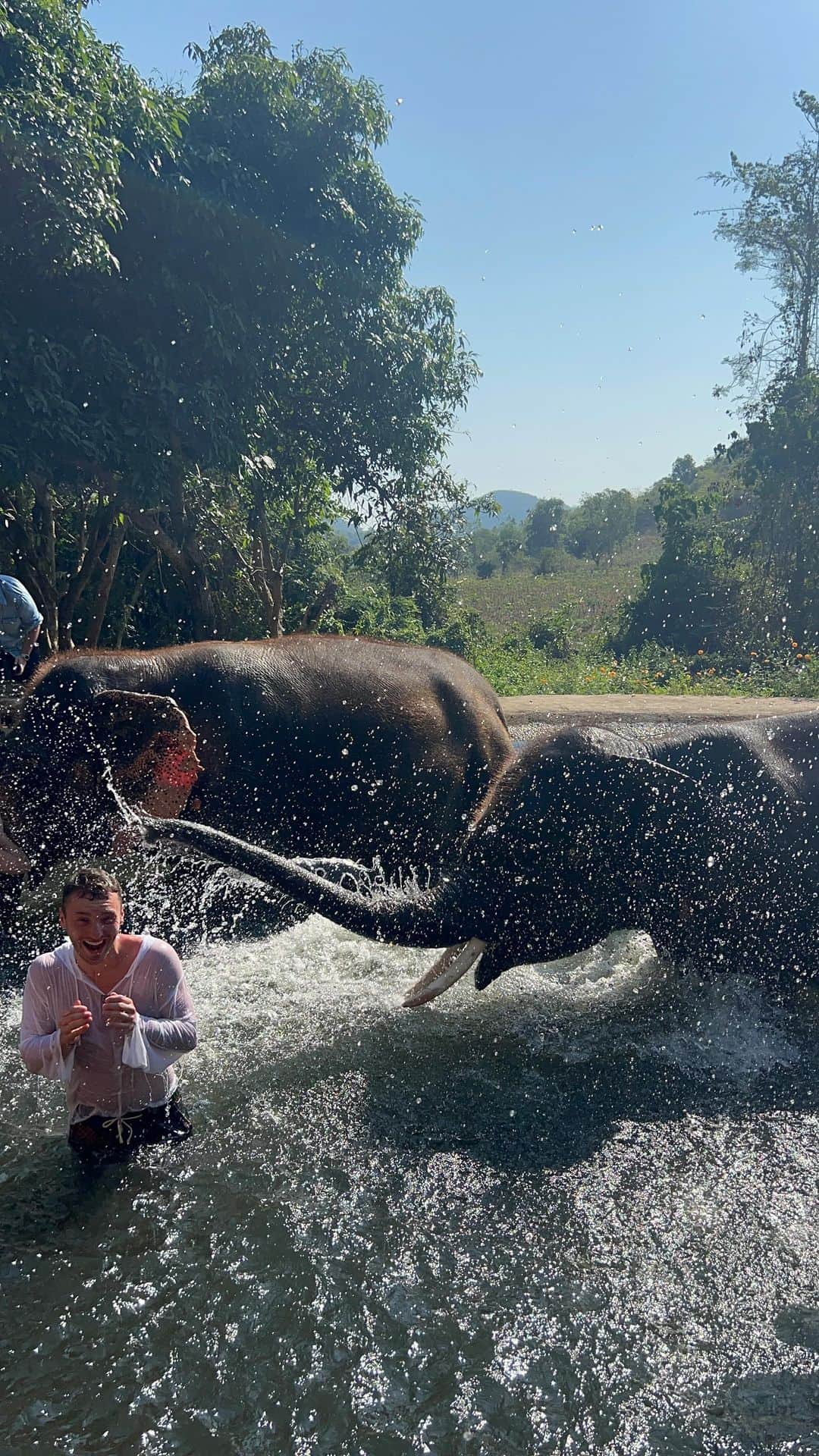 jotipolizoakisのインスタグラム：「90 sec. of pure happiness. 🐘♥️🐘♥️🐘♥️」